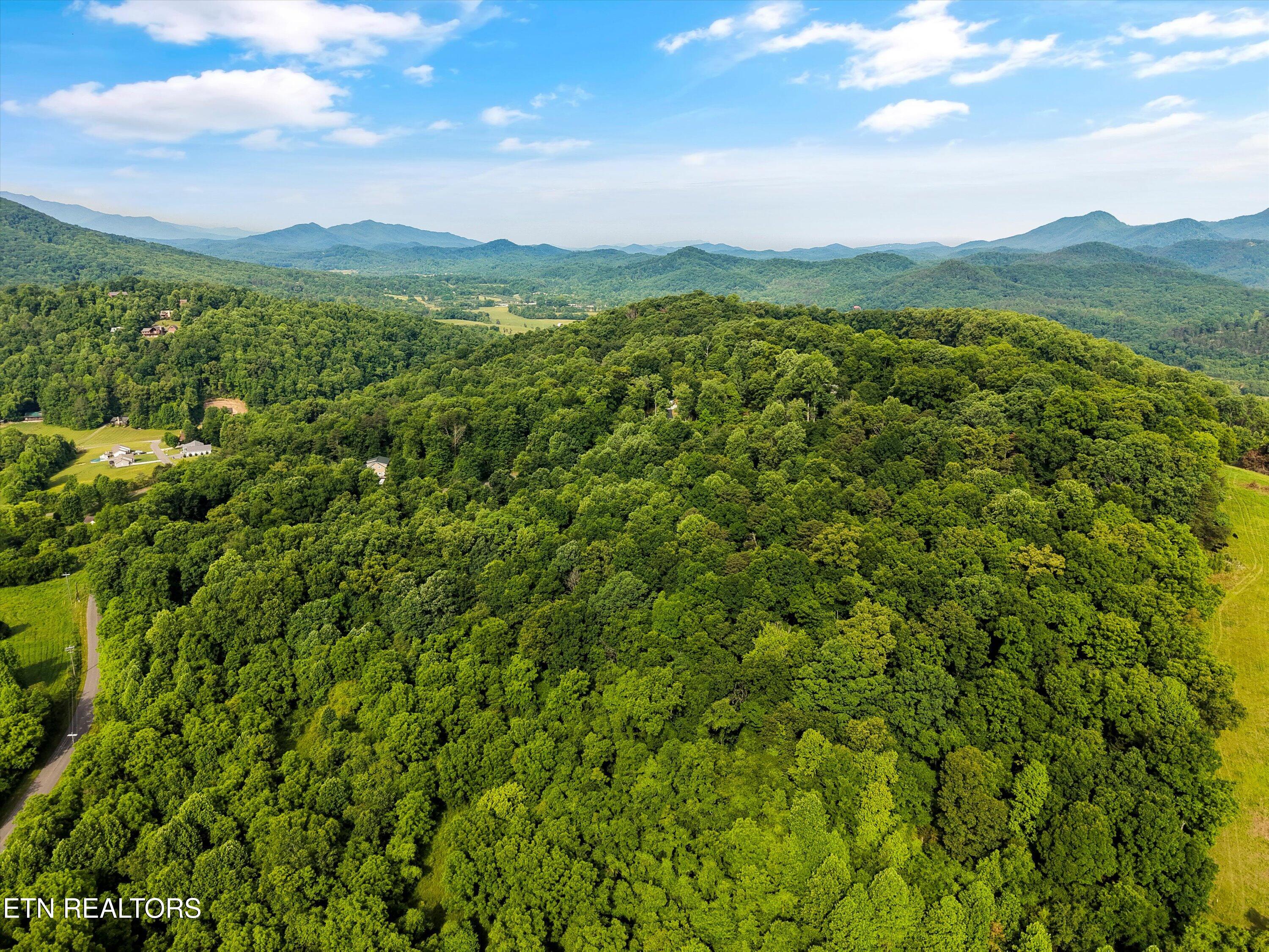 Country Mtn Rd Lot 11