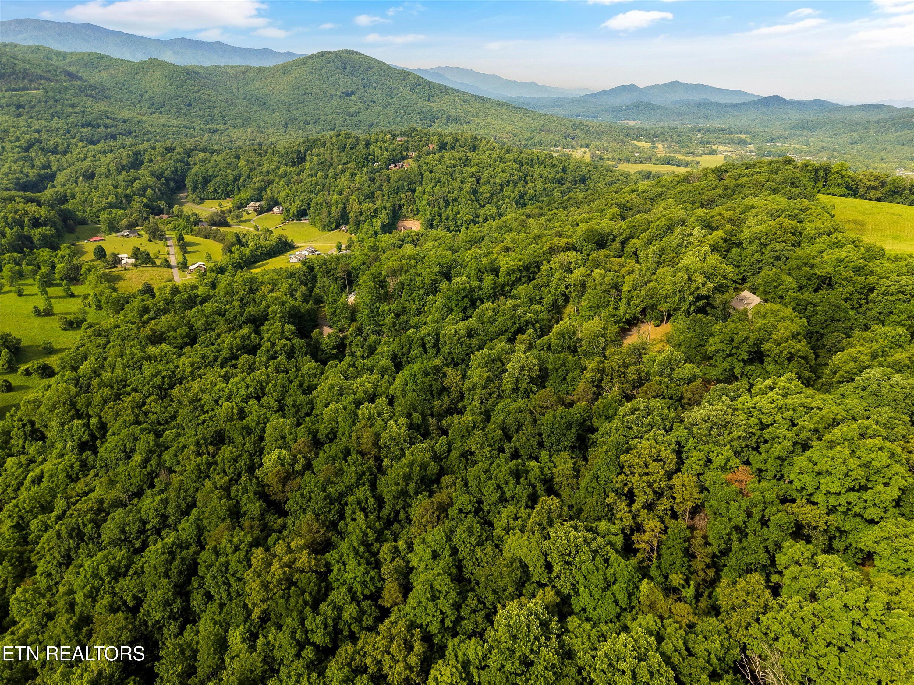 Country Mtn Rd Lot 11