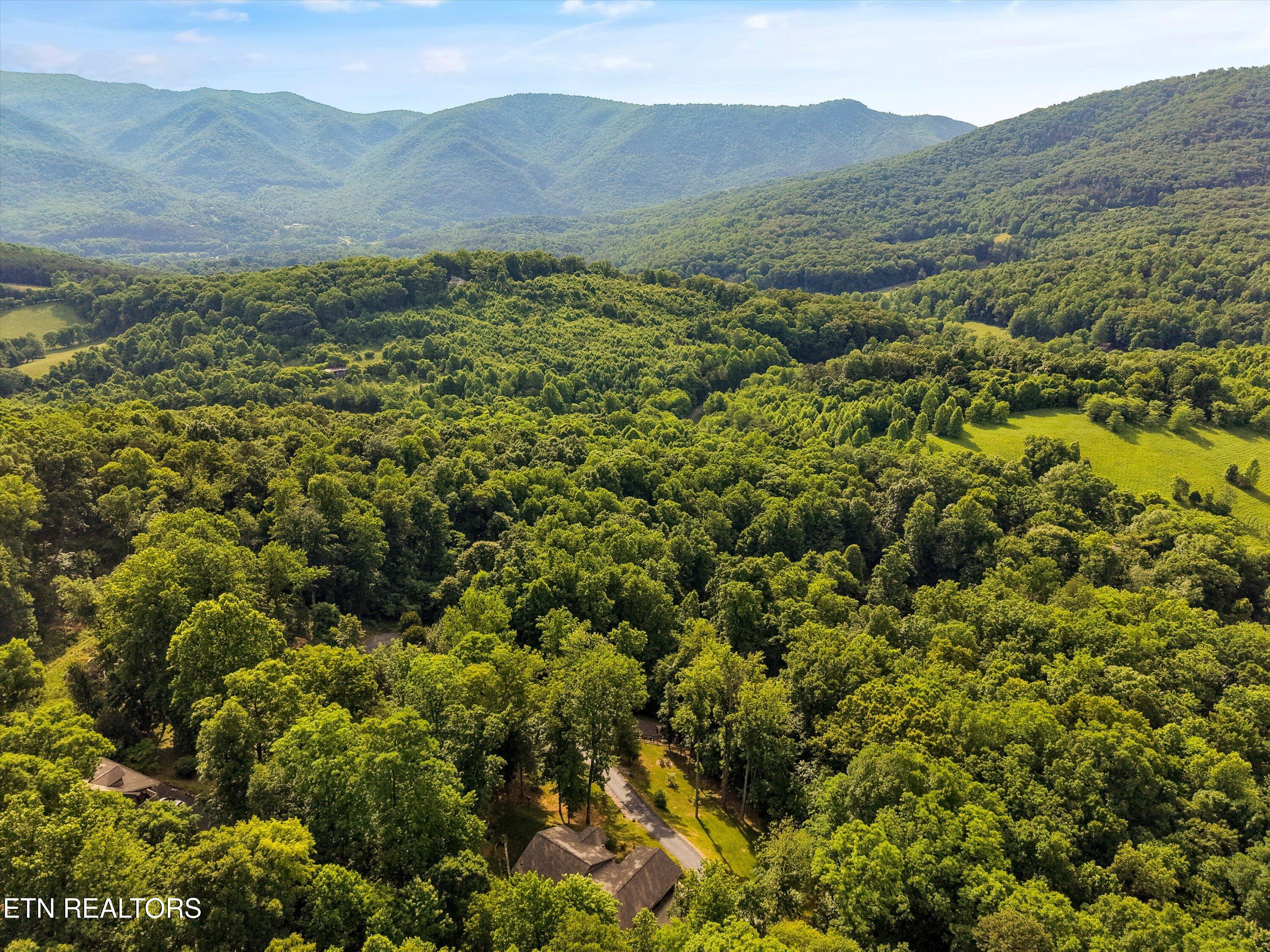 Country Mtn Rd Lot 11