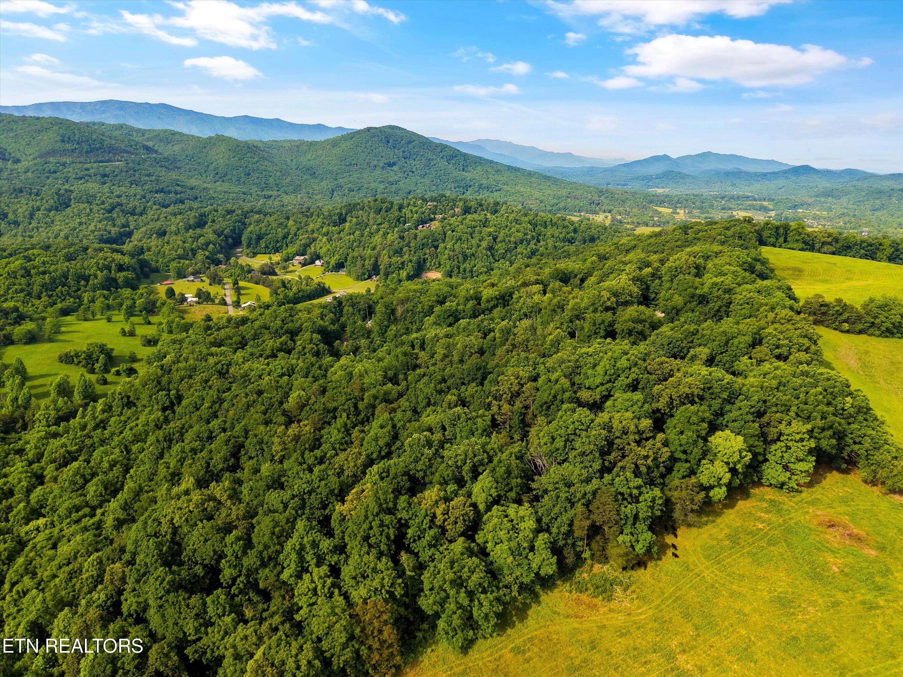 Country Mtn Rd Lot 11
