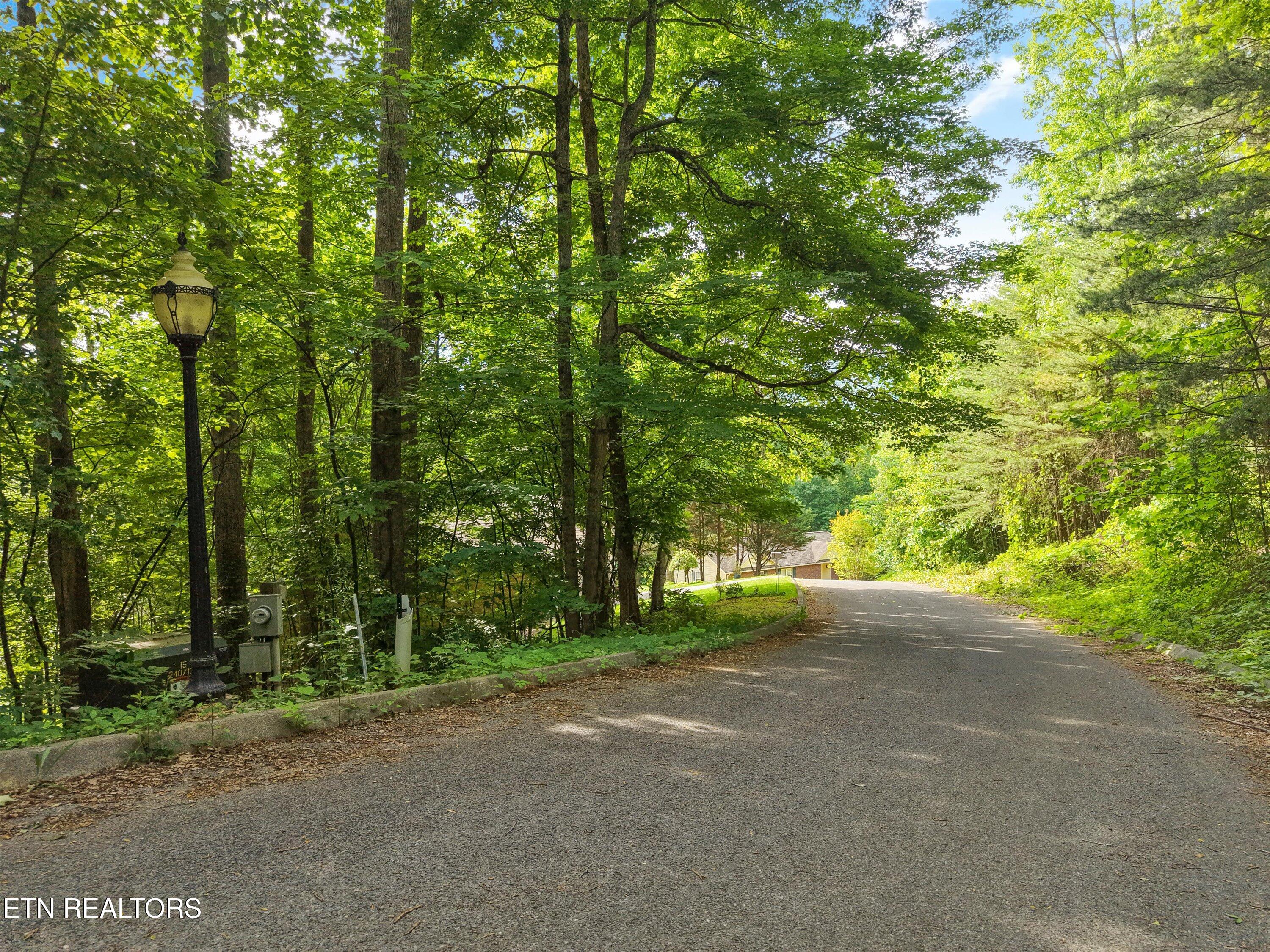 Country Mtn Rd Lot 11