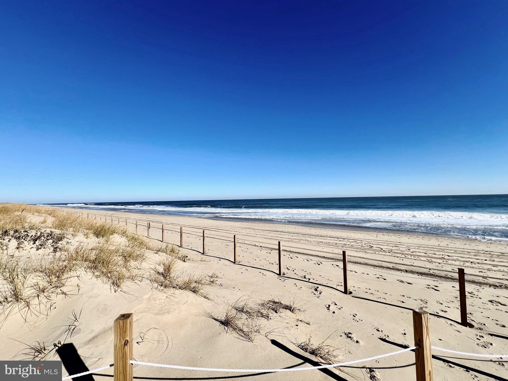 8203 Atlantic Ave #308