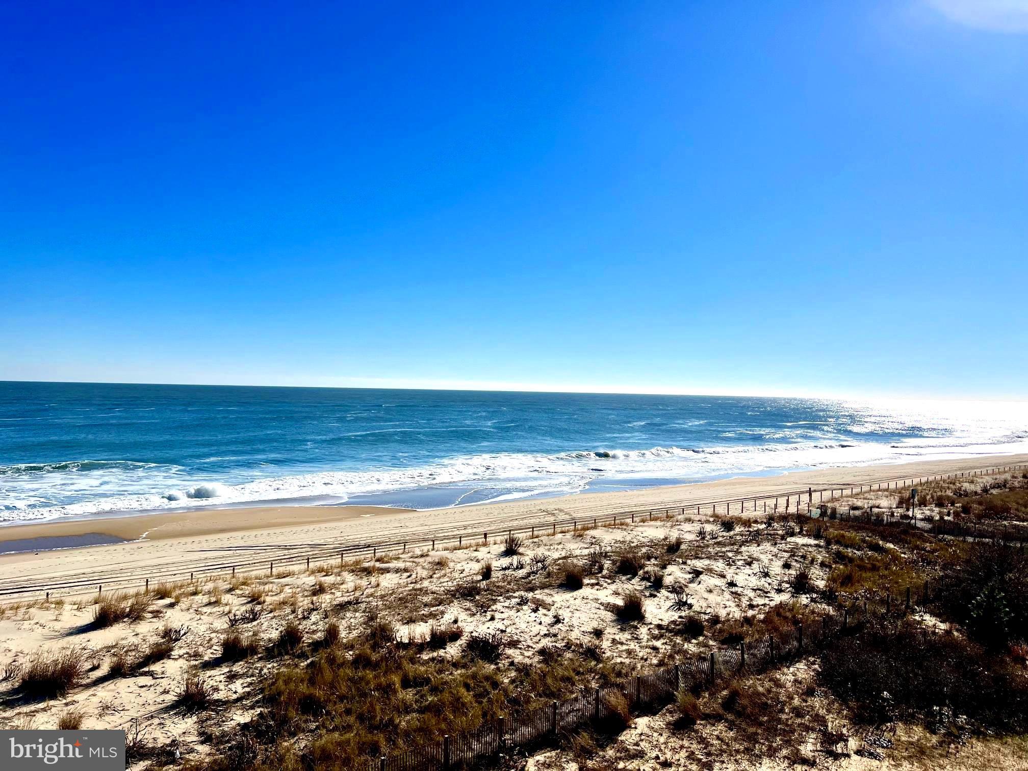 8203 Atlantic Ave #308