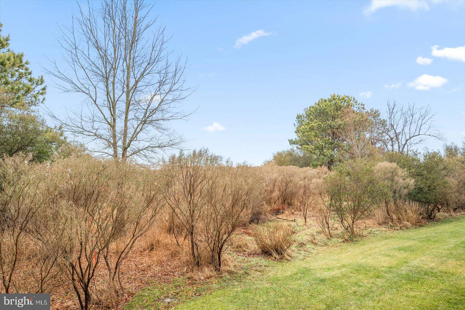 1105 Points Reach #1105