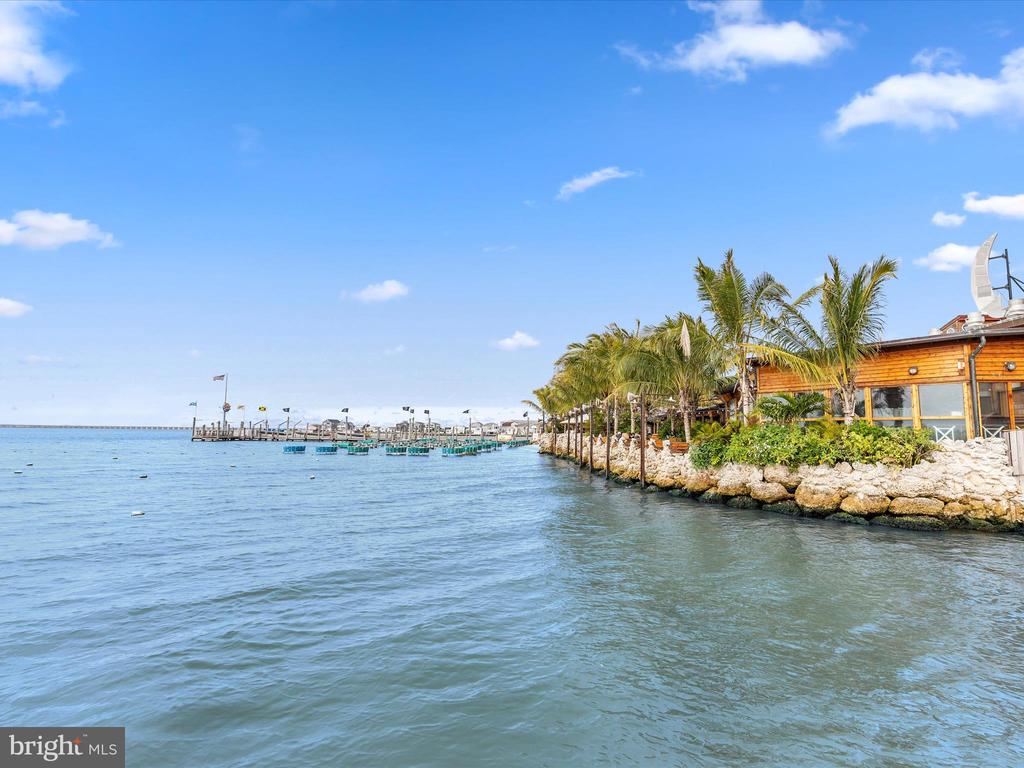 4709 Coastal Hwy #253