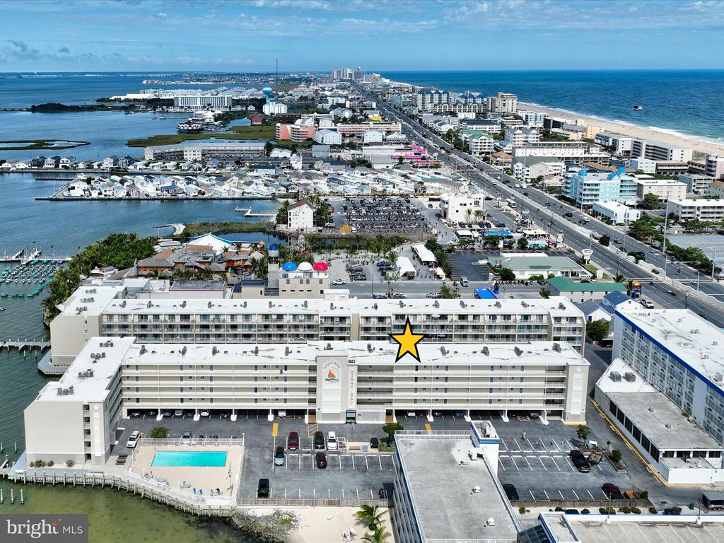4709 Coastal Hwy #253