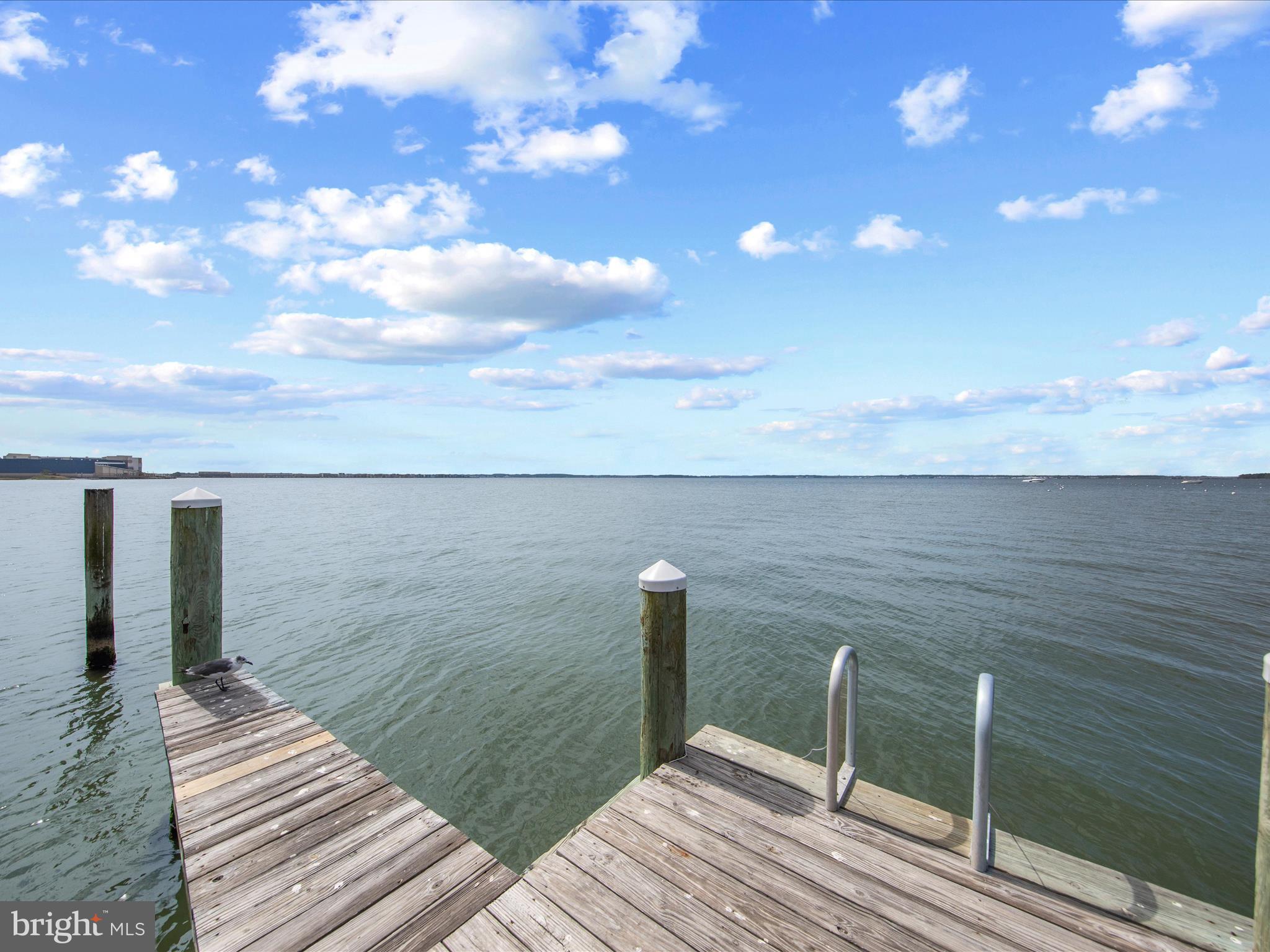 4709 Coastal Hwy #253