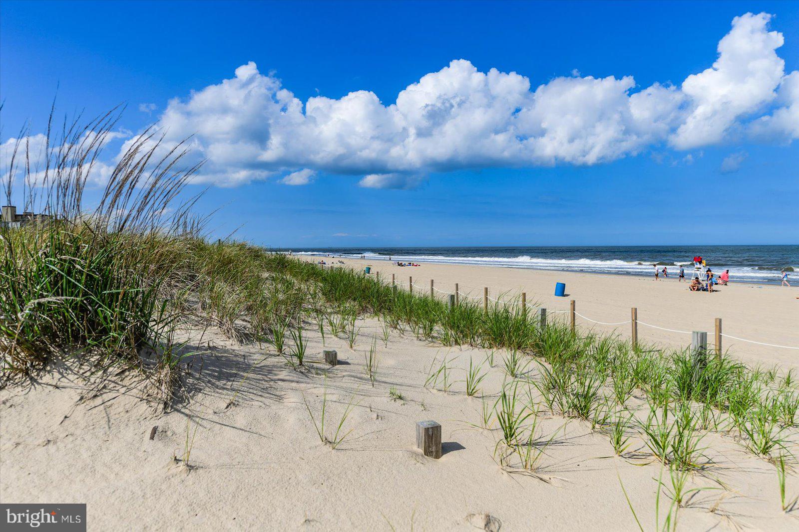 13100 COASTAL HIGHWAY 1110