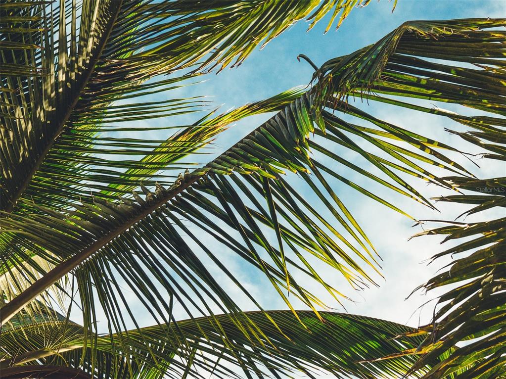 9869 GULFSTREAM BLVD