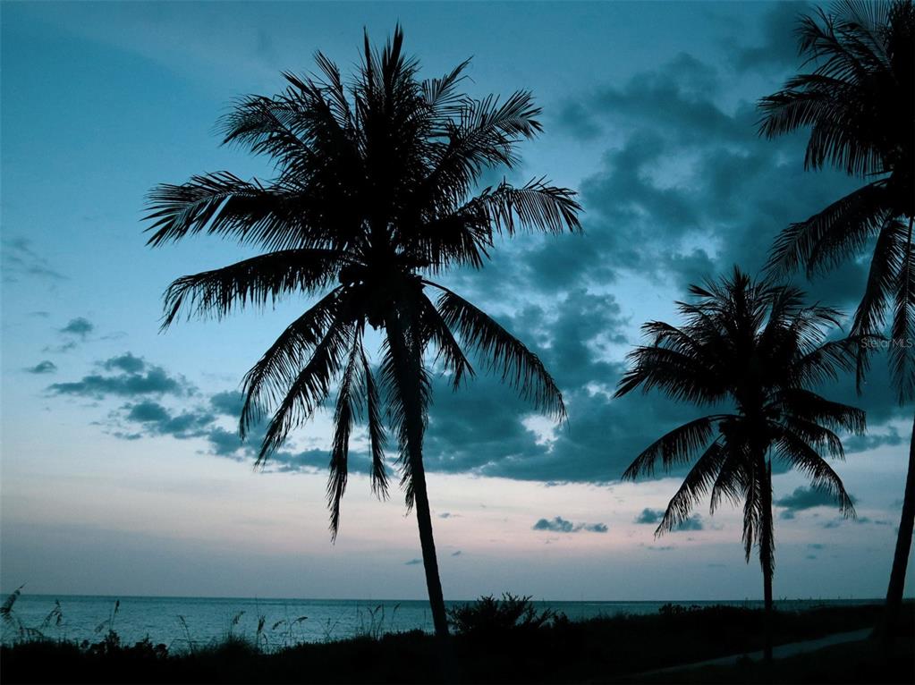 9869 GULFSTREAM BLVD