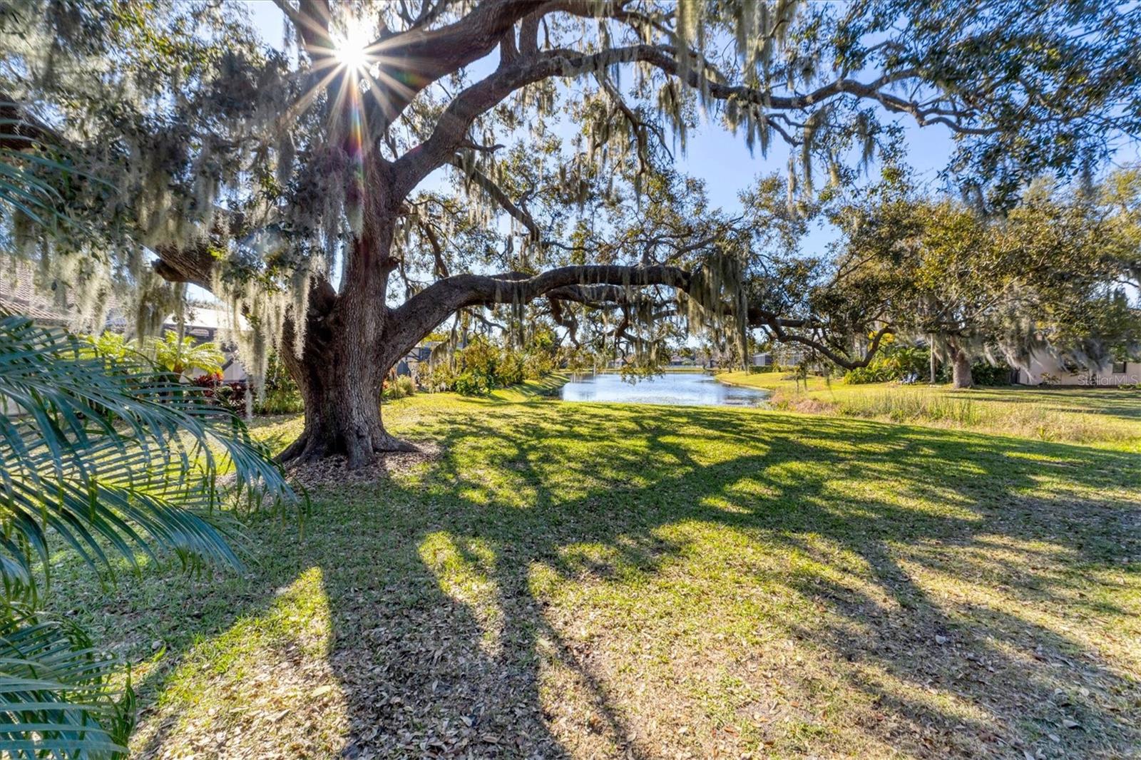 6718 PIRATE PERCH TRL