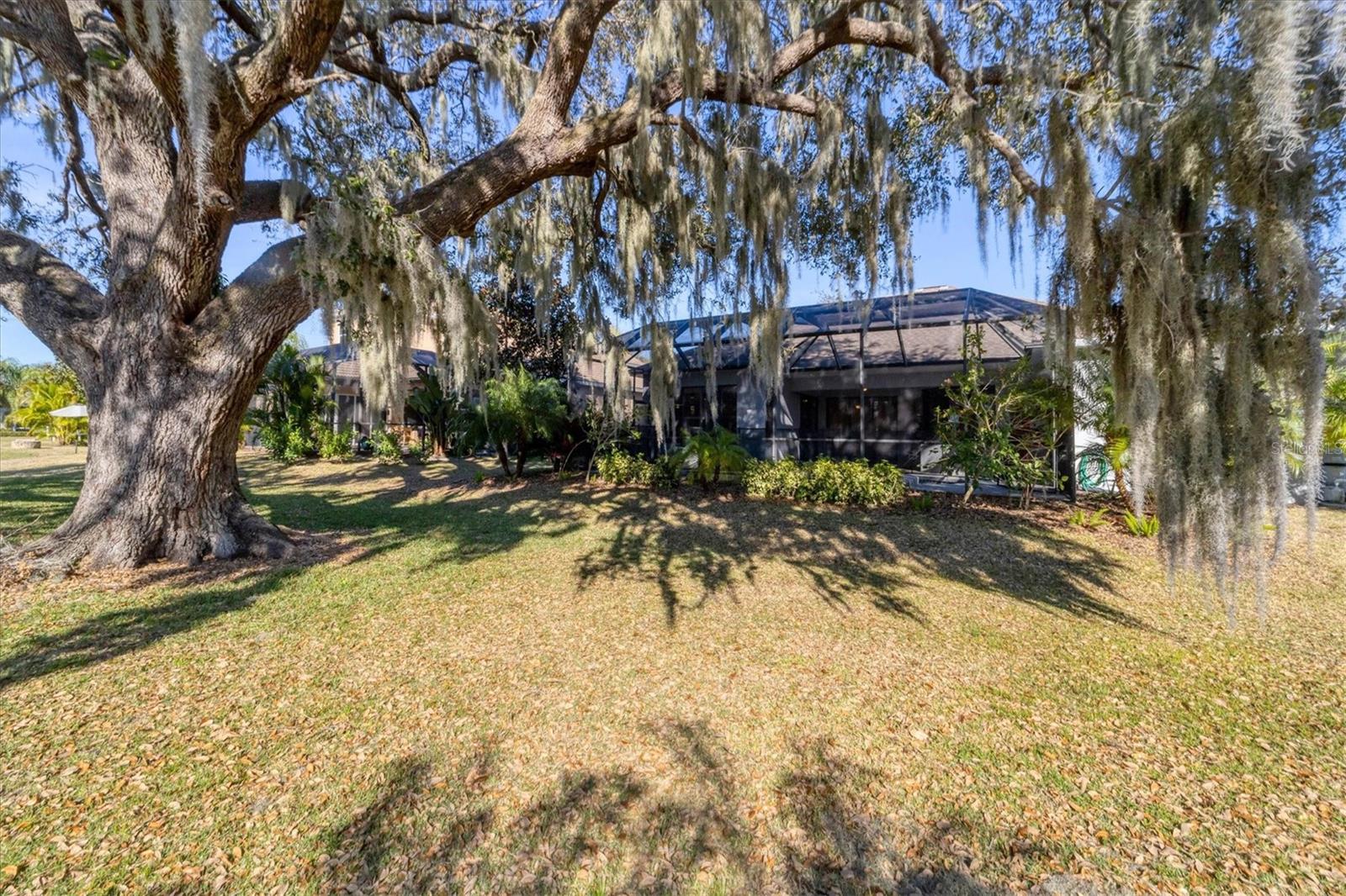 6718 PIRATE PERCH TRL