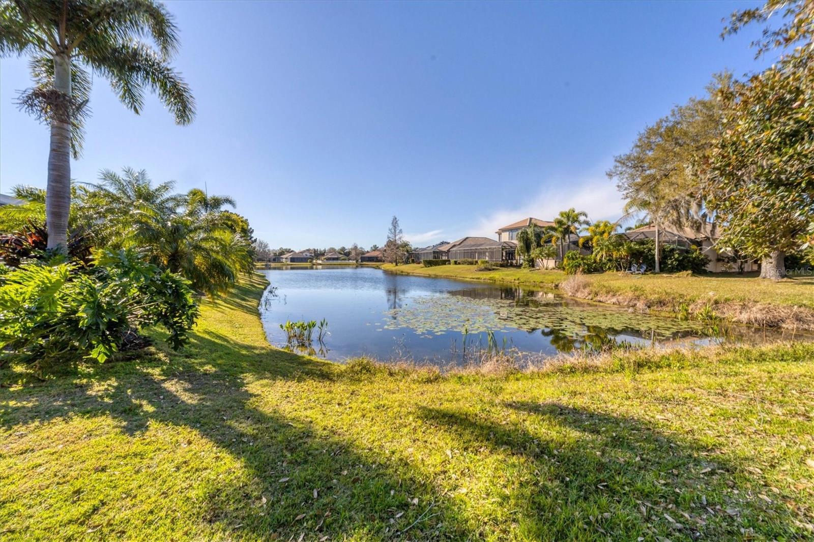 6718 PIRATE PERCH TRL