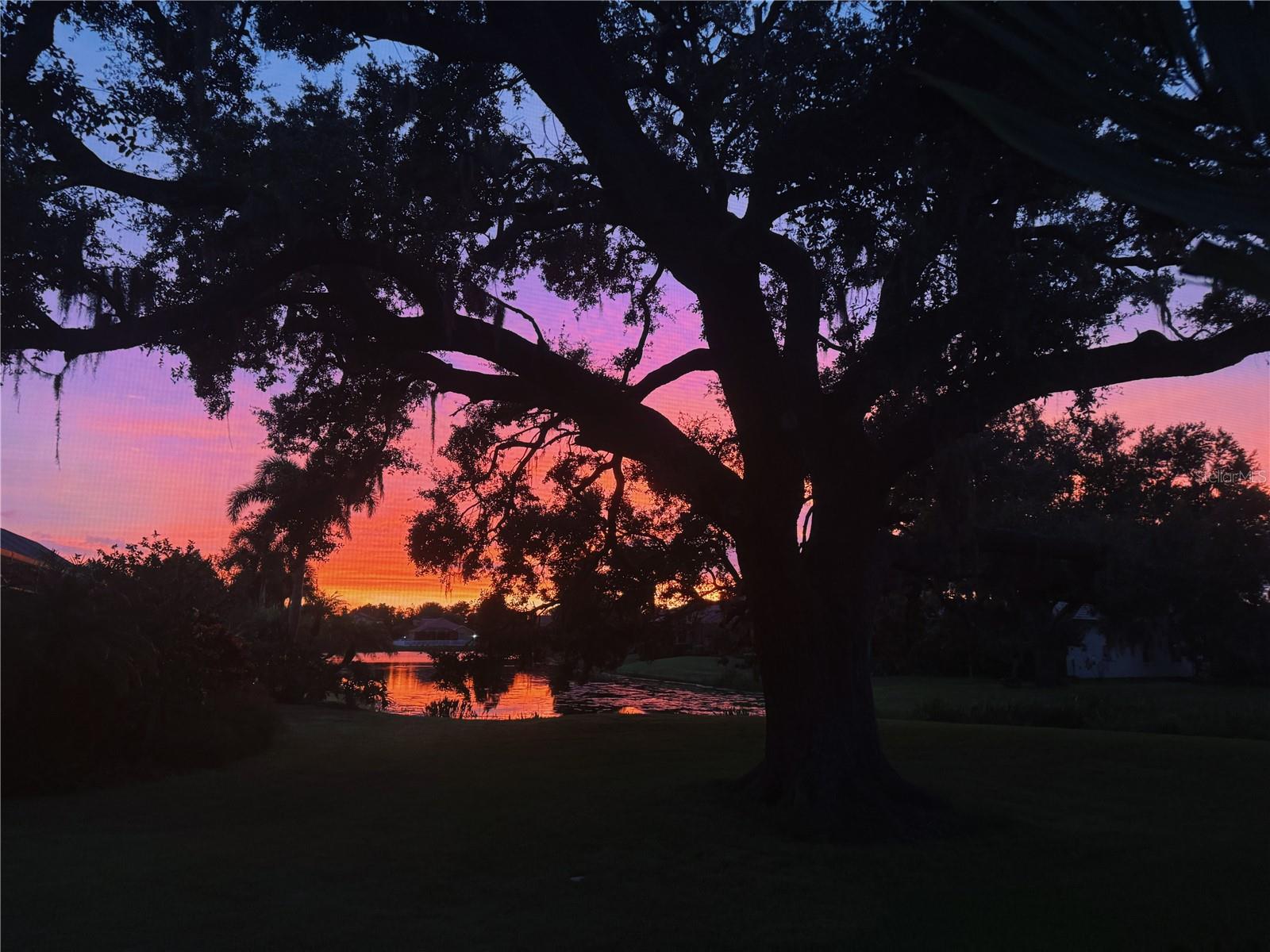 6718 PIRATE PERCH TRL