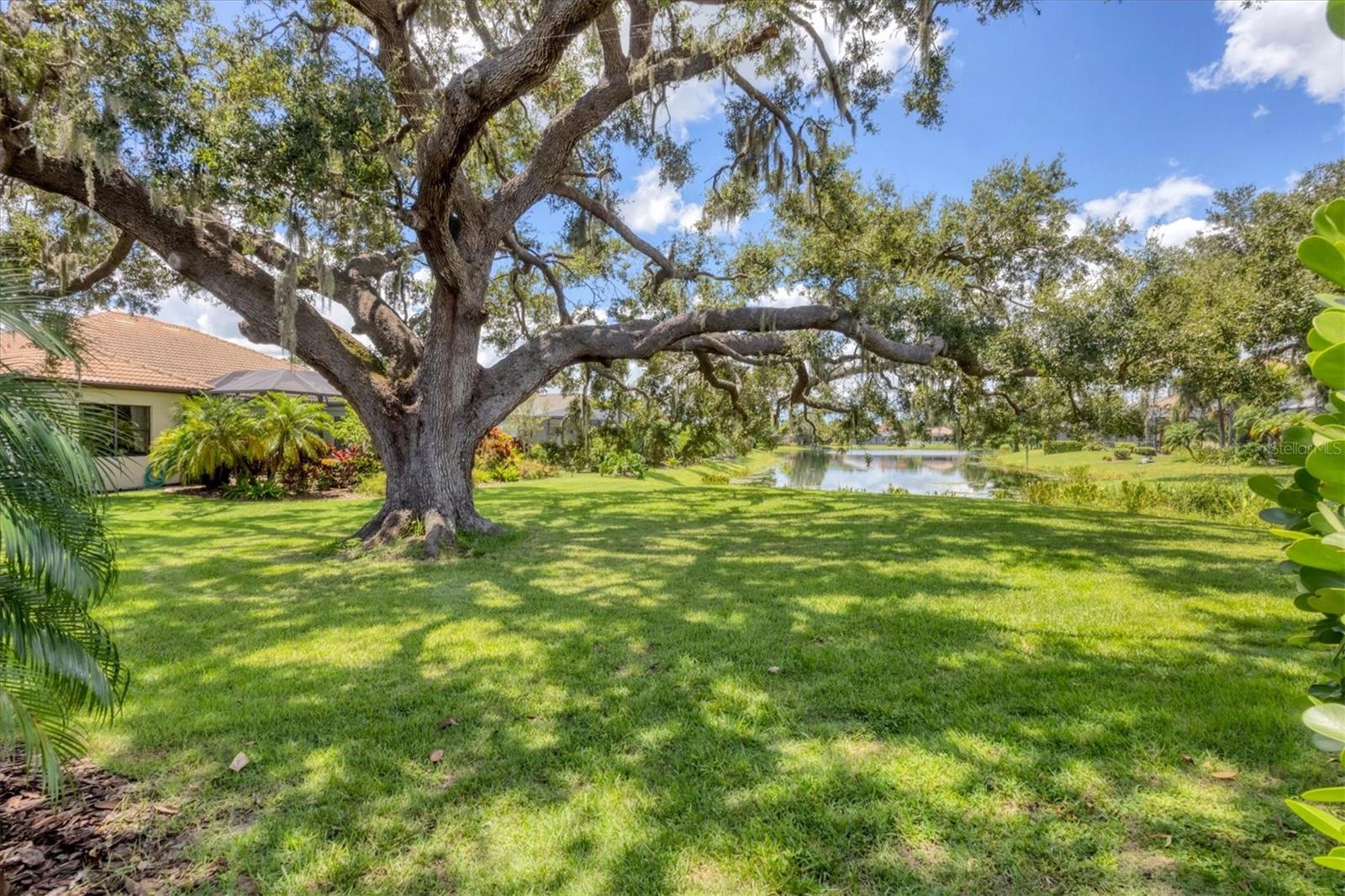 6718 PIRATE PERCH TRL