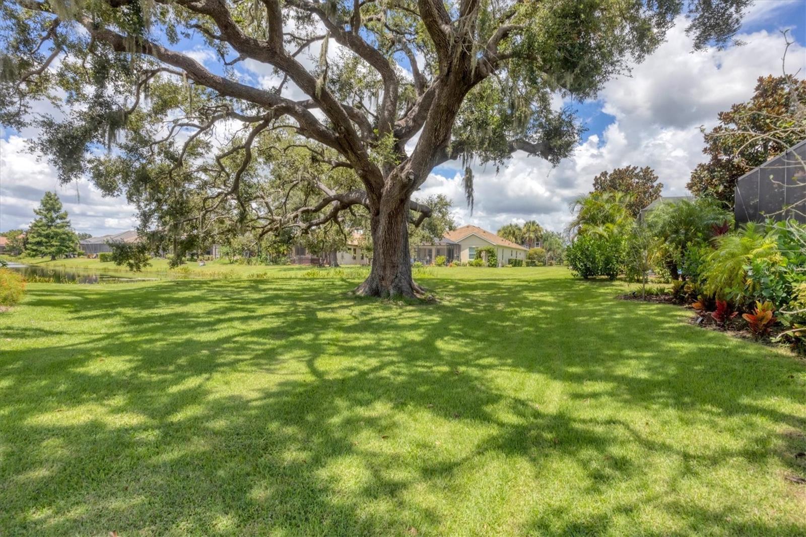 6718 PIRATE PERCH TRL