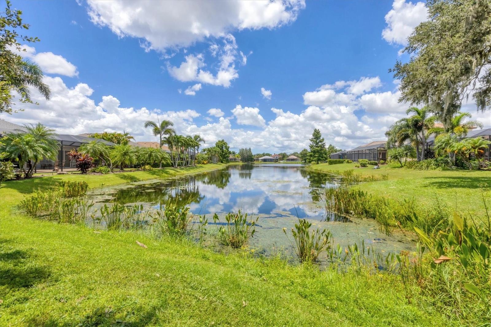 6718 PIRATE PERCH TRL