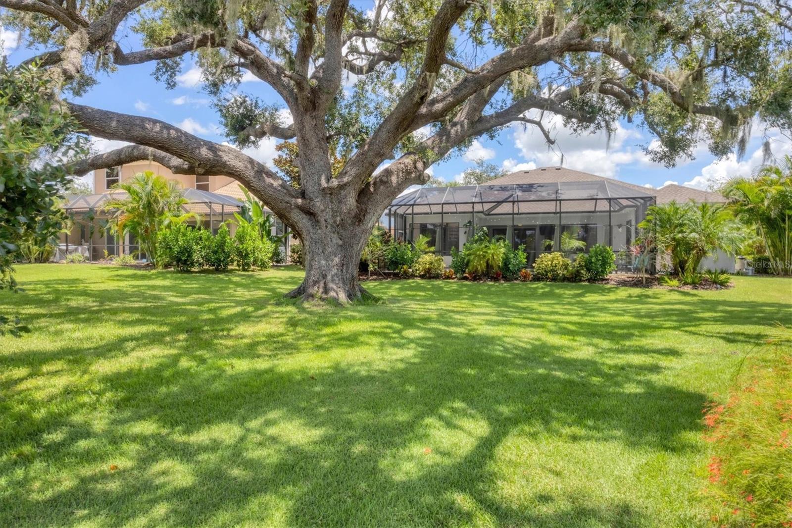 6718 PIRATE PERCH TRL