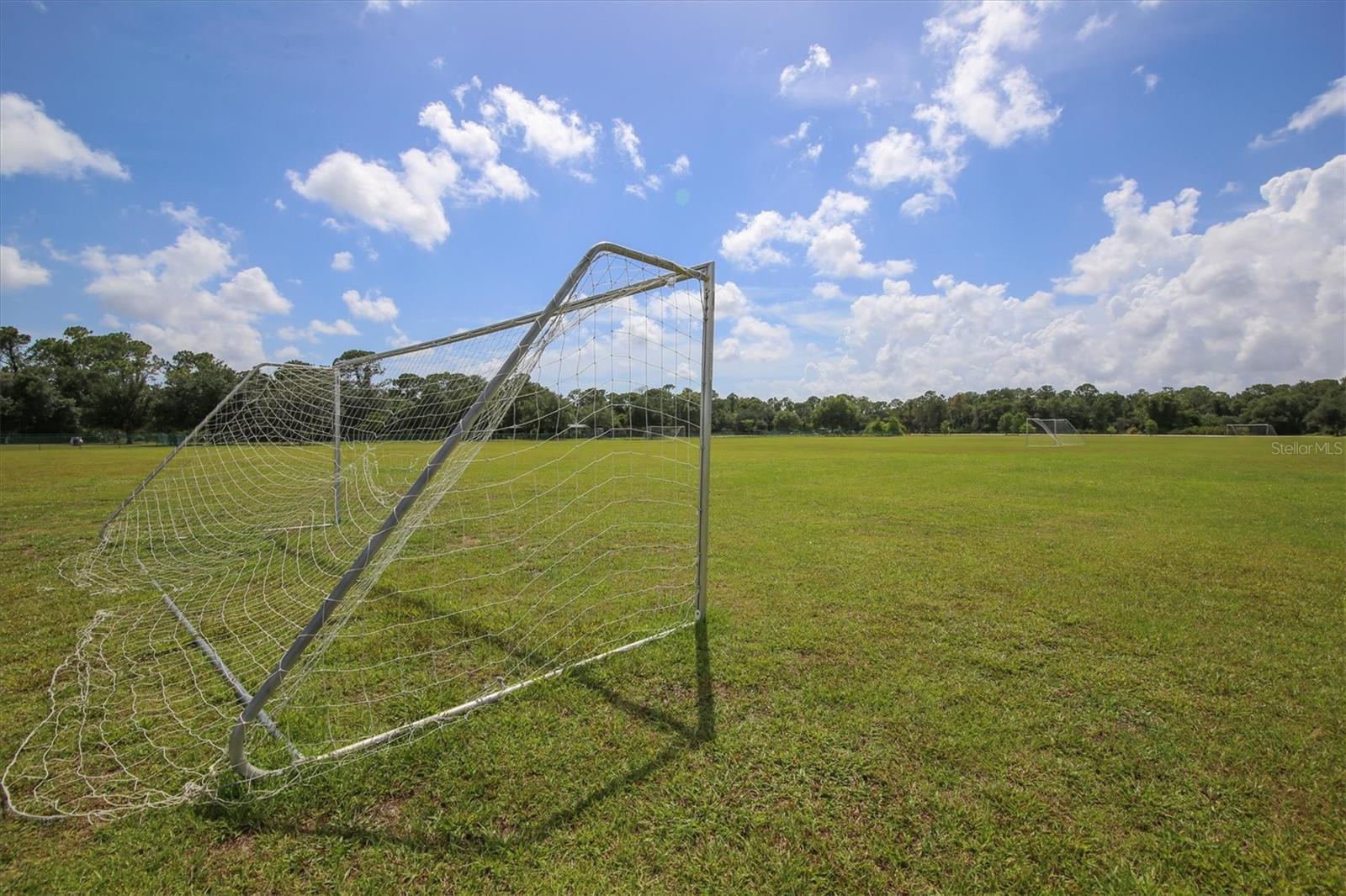 6718 PIRATE PERCH TRL