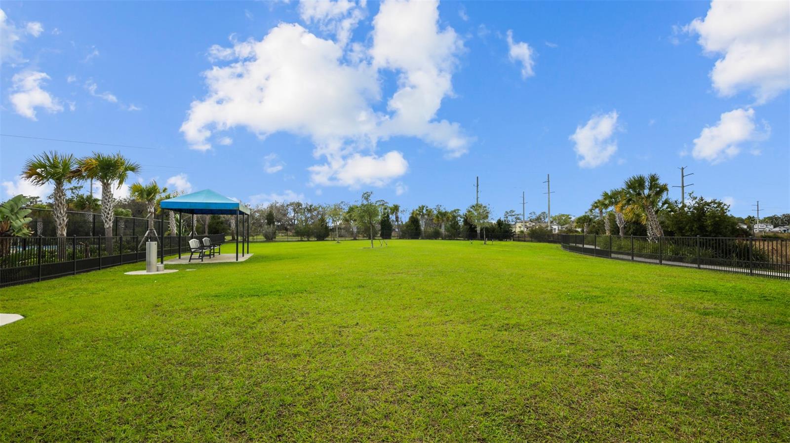 2578 WILD CHERRY PATH