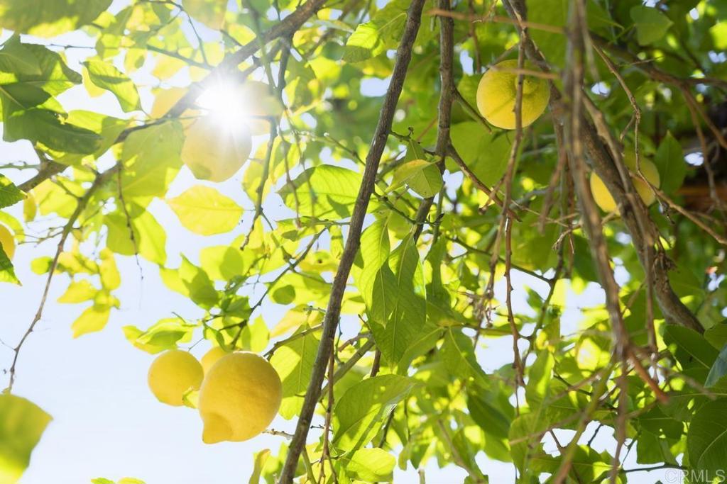 8295 Santaluz Village Green N