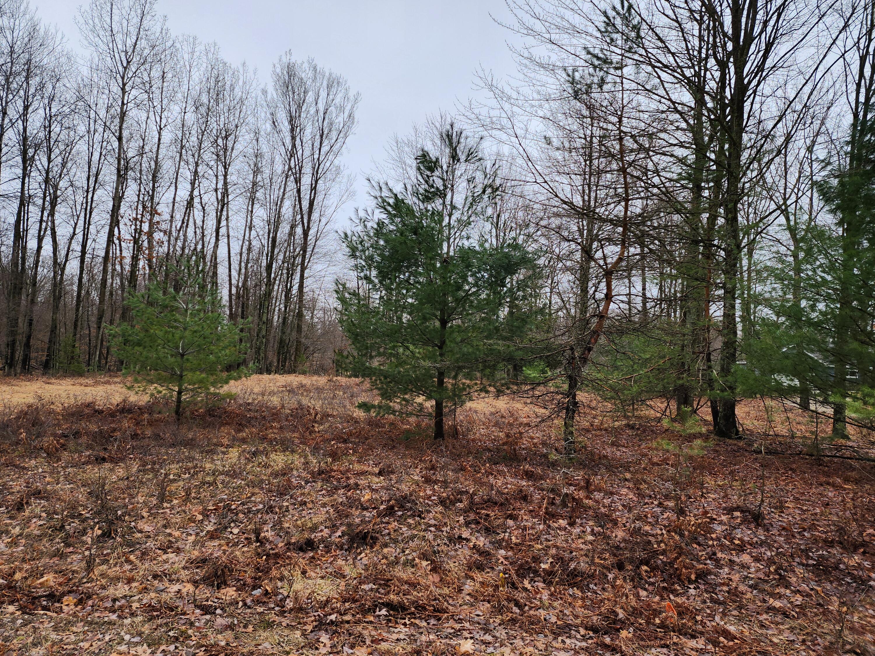 6143 Cedar Trace
