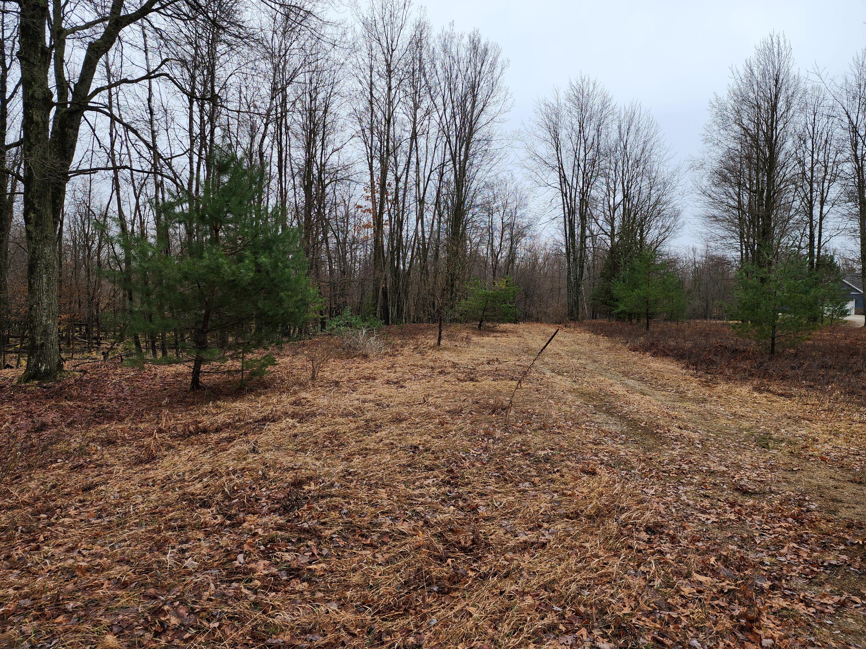 6143 Cedar Trace