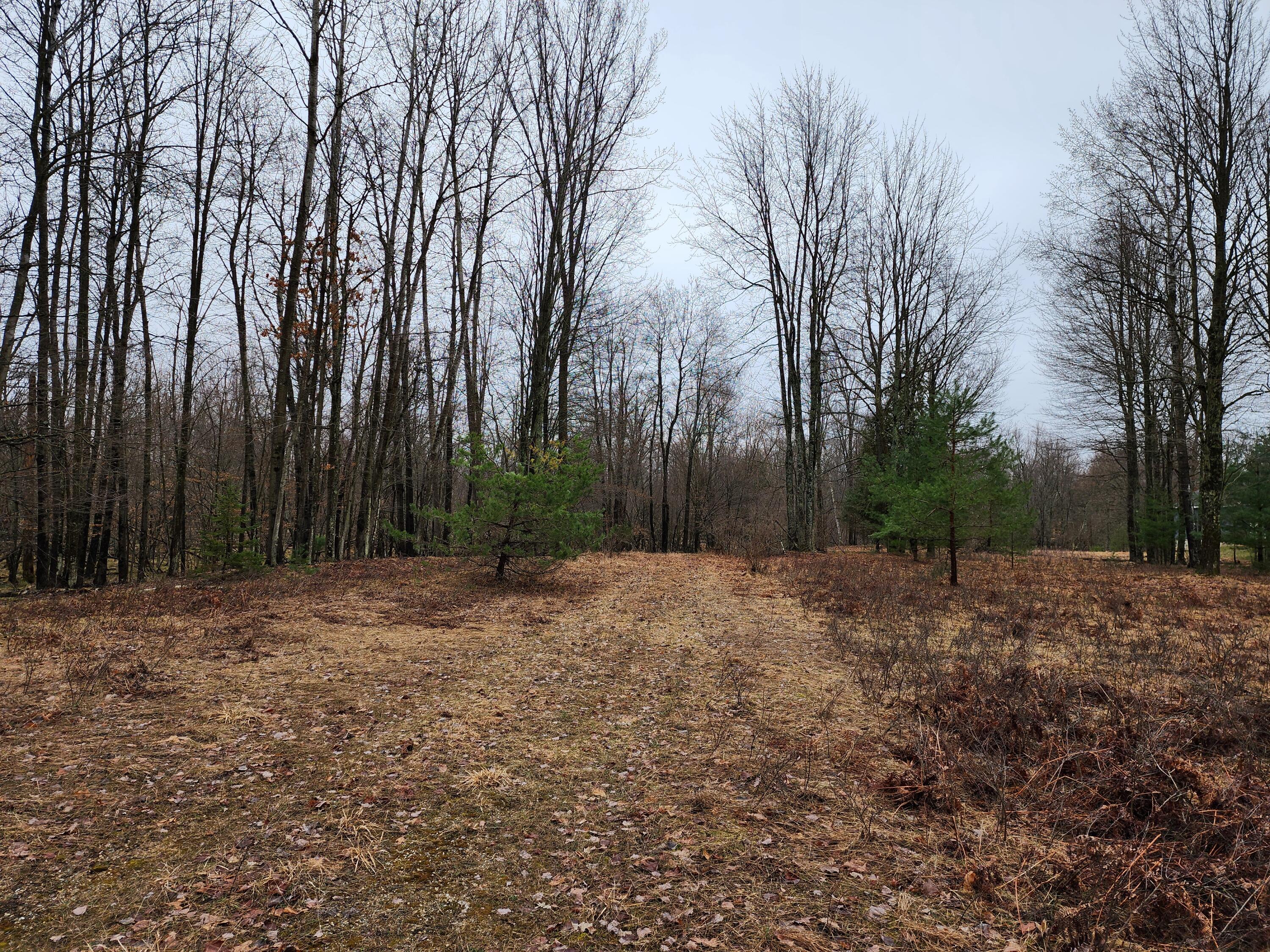 6143 Cedar Trace