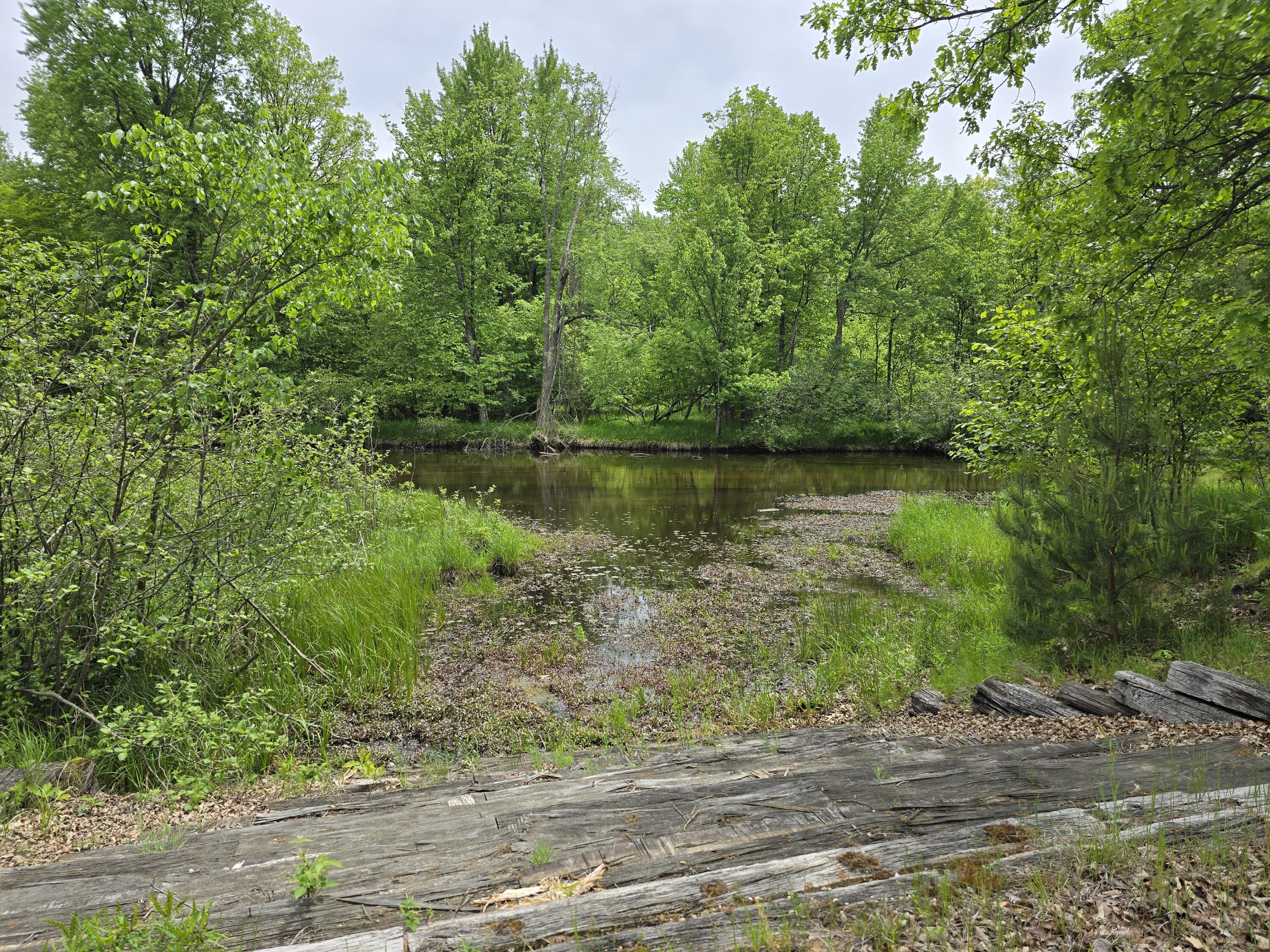 6143 Cedar Trace