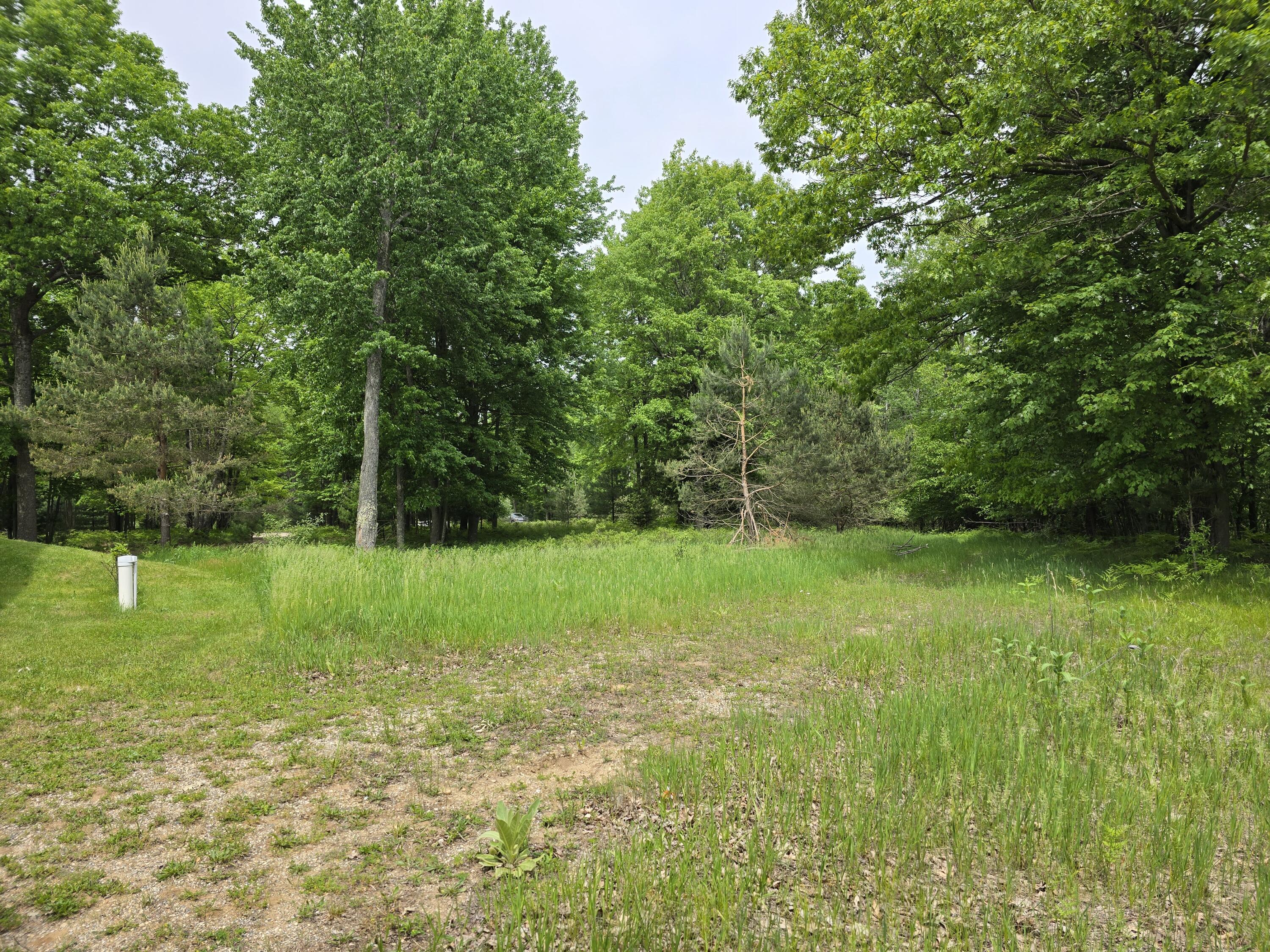 6143 Cedar Trace