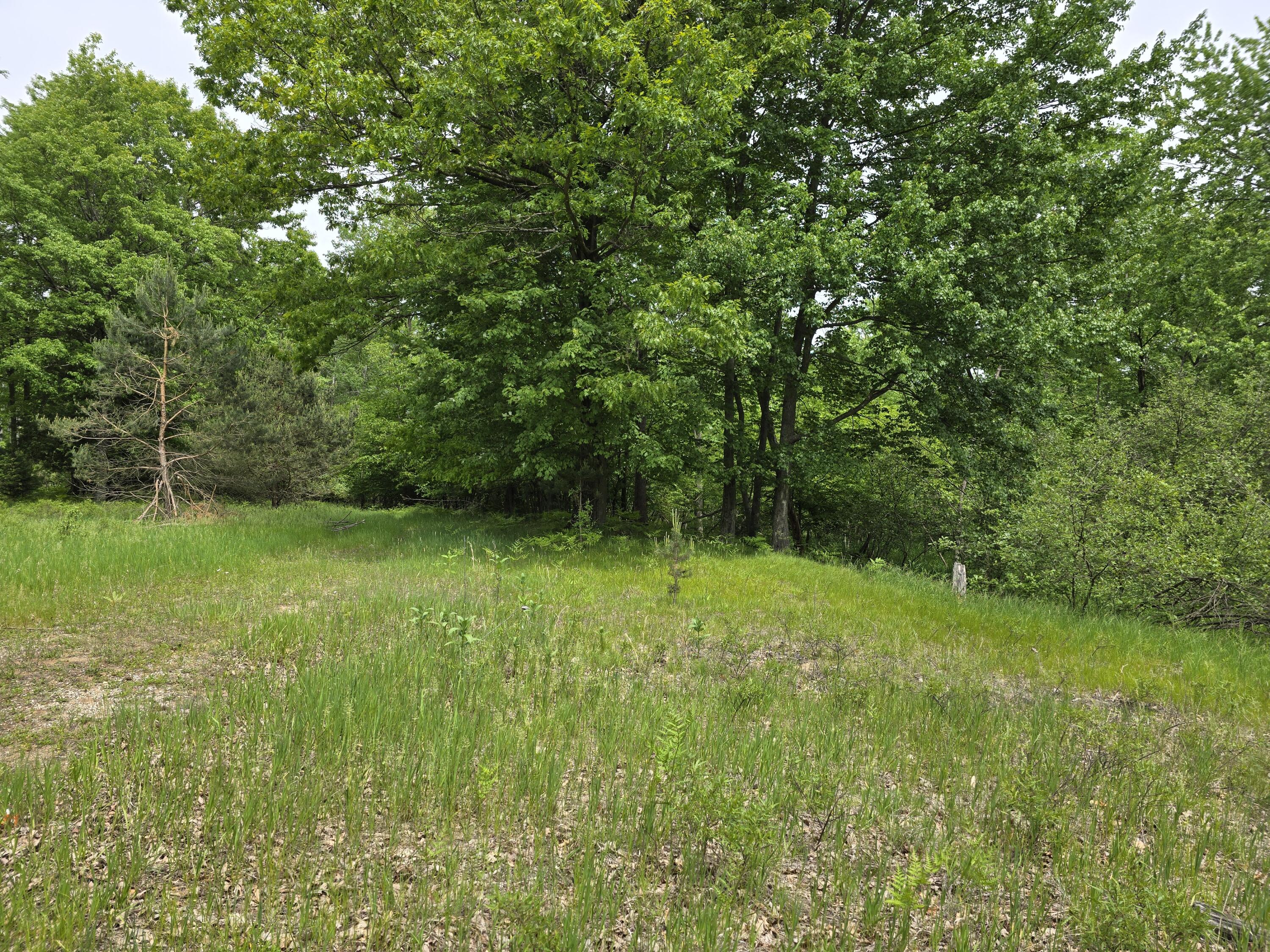 6143 Cedar Trace