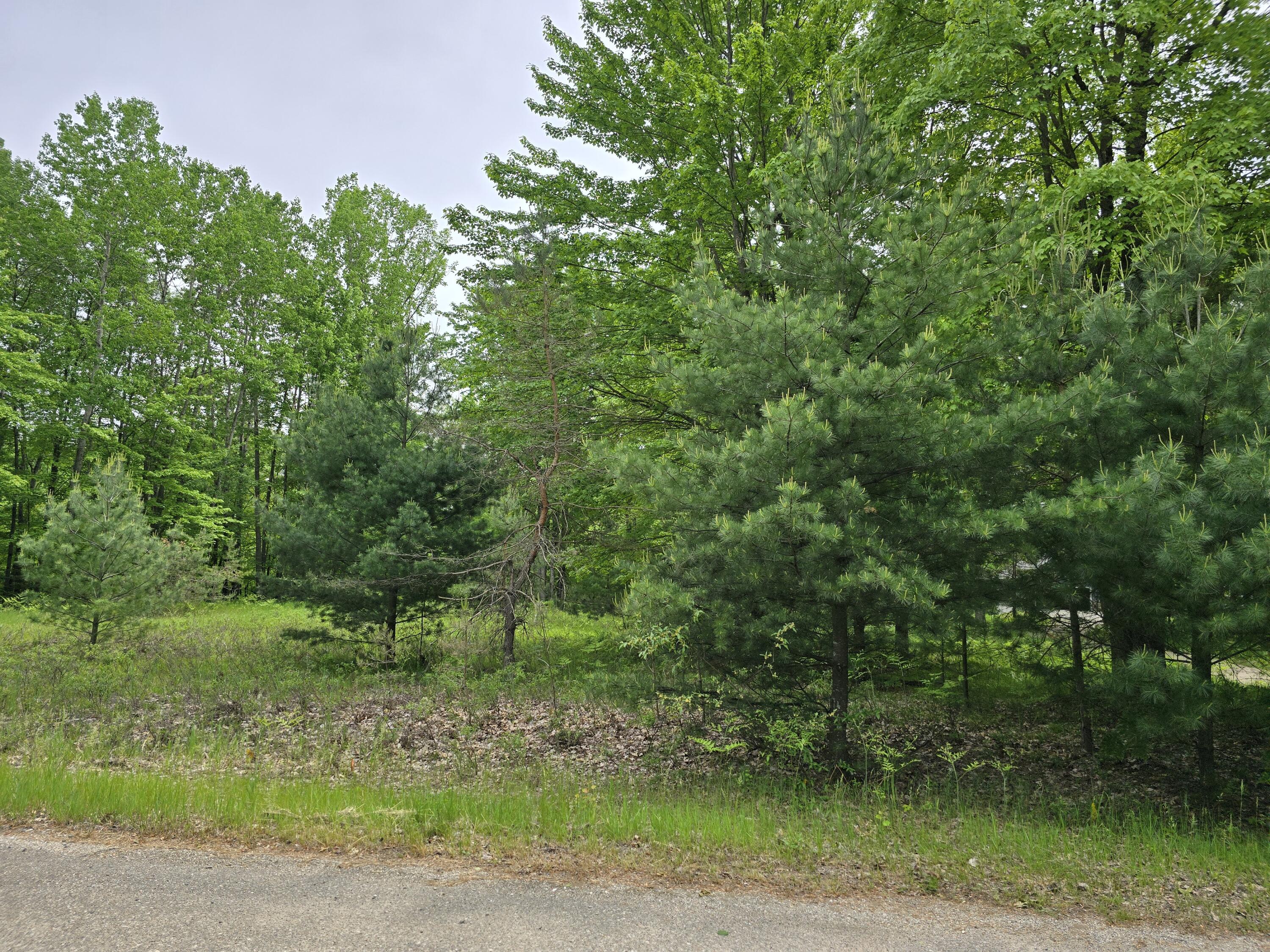 6143 Cedar Trace