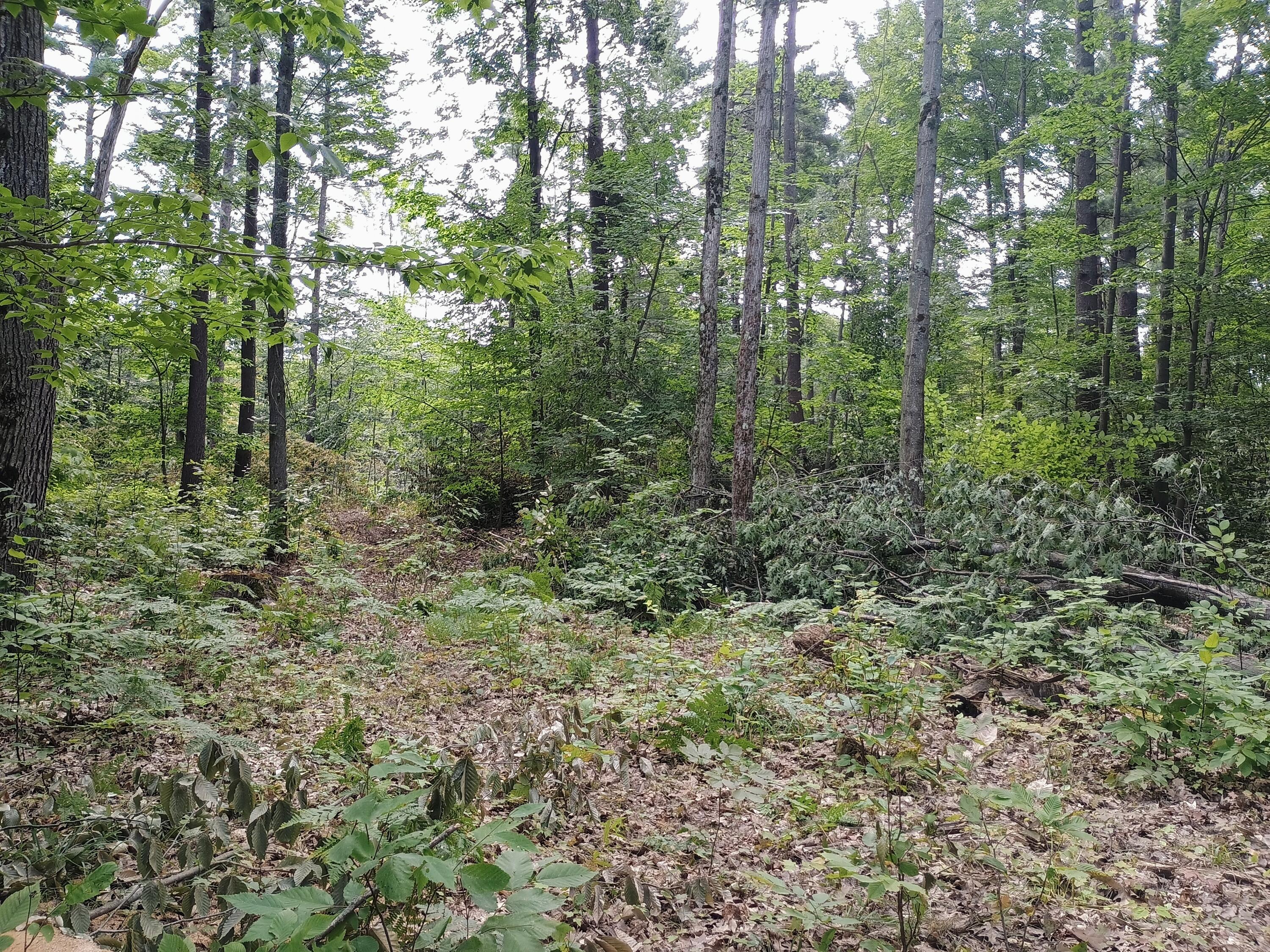 00 Kerry and Archer Road