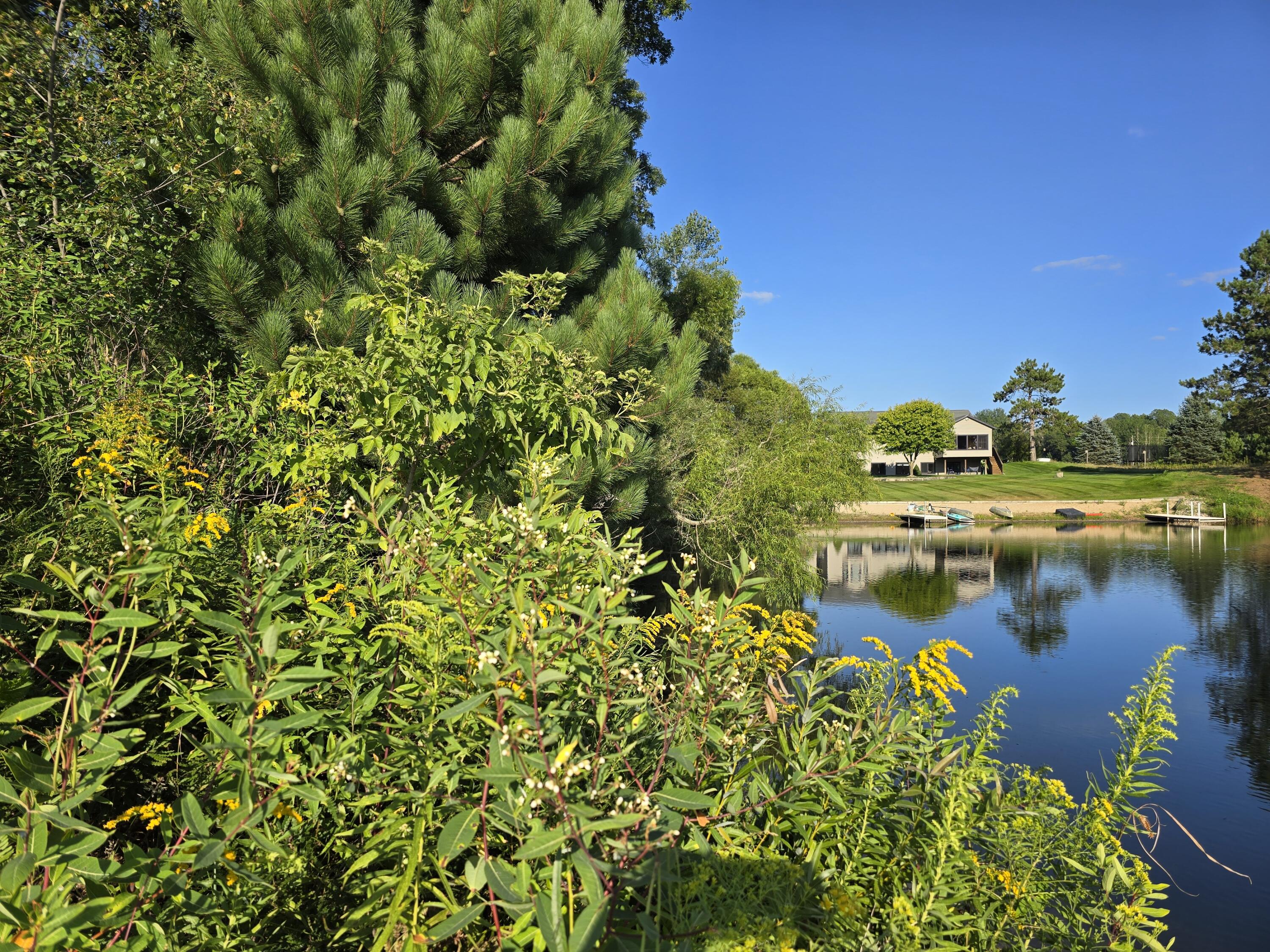 12305 Summerhill Drive