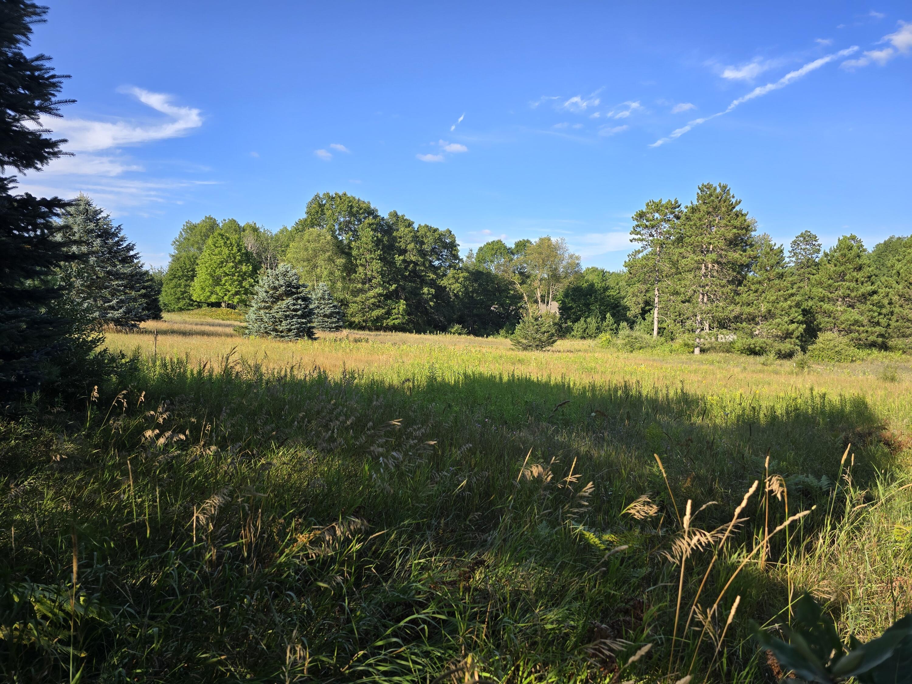 12305 Summerhill Drive