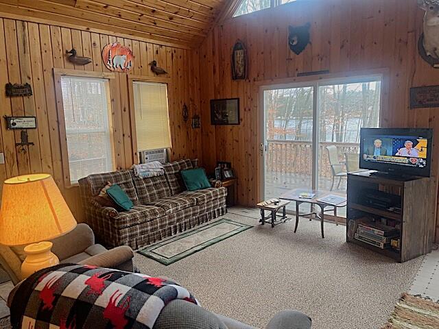 10129 Alpine Drive