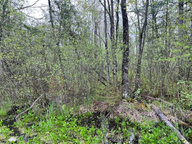 VL 40th Avenue