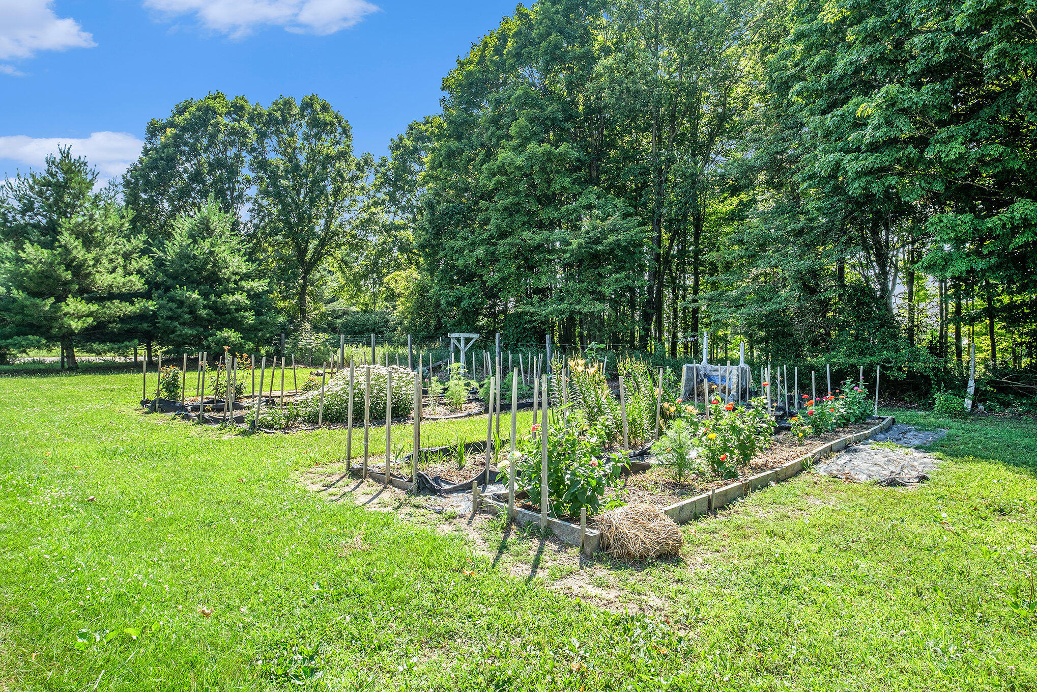 12448 Jefferson Road