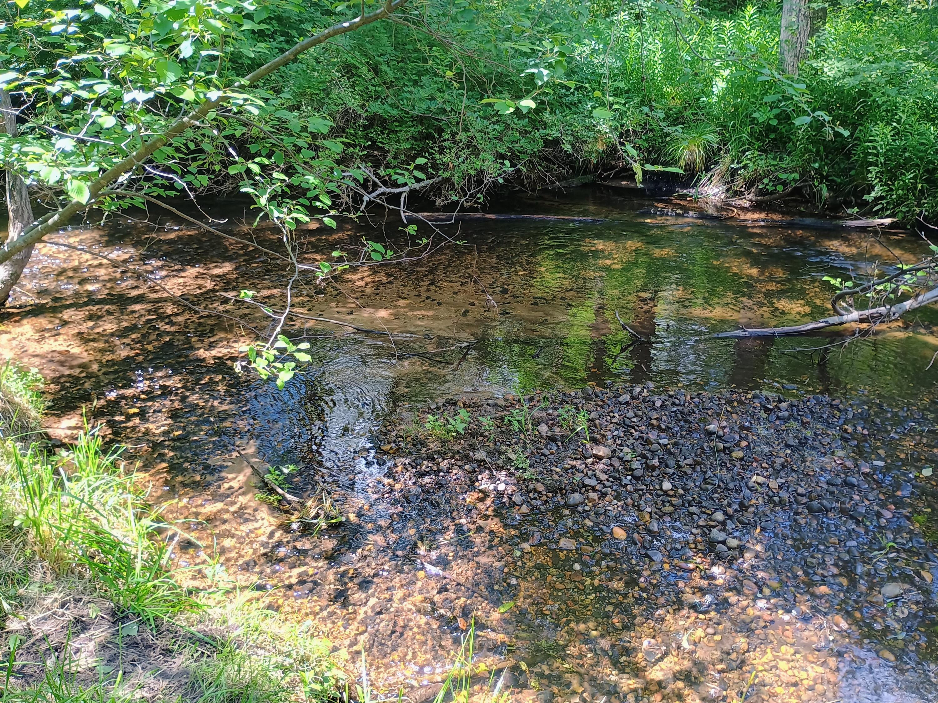 167 Mill Road