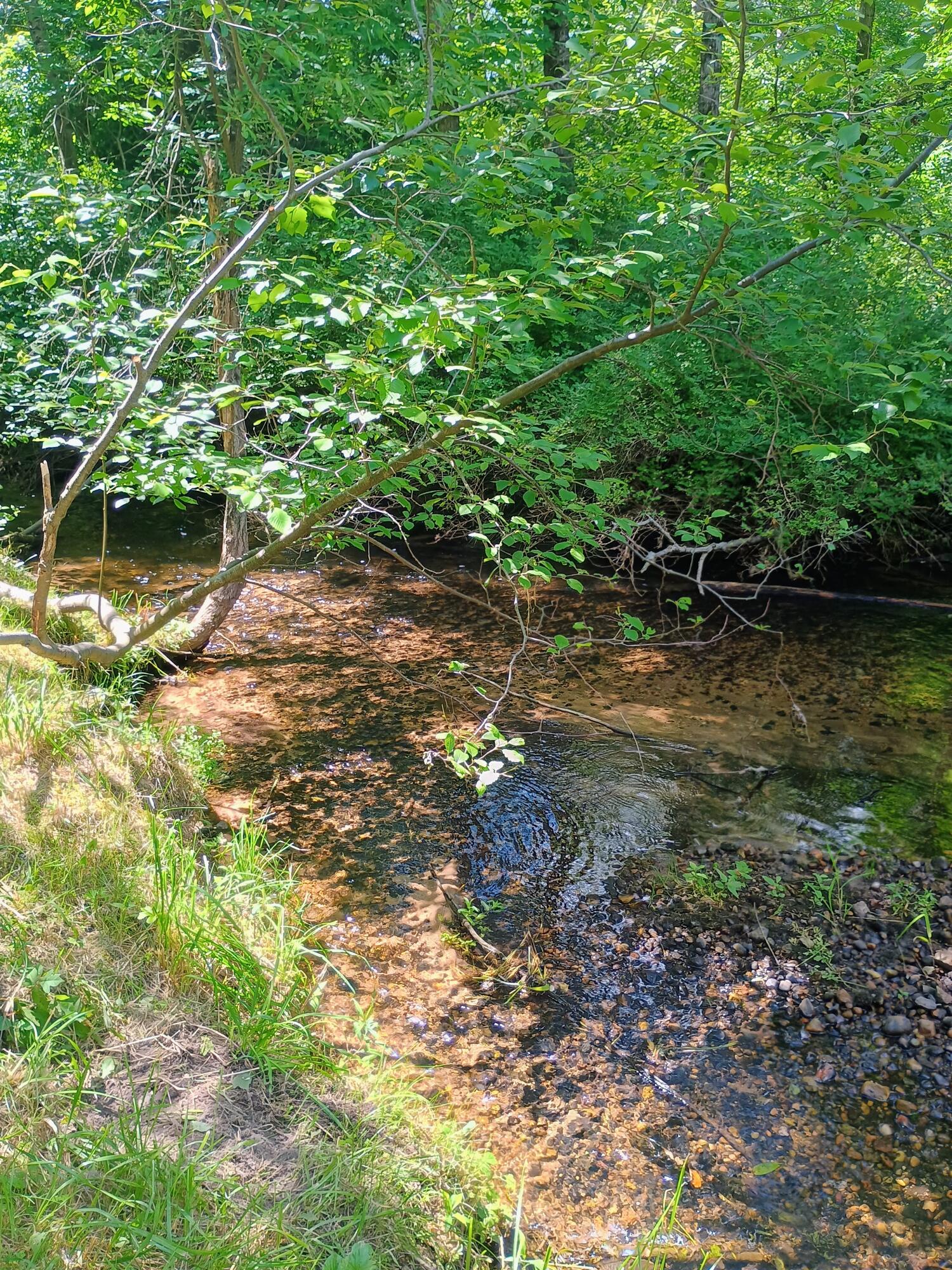 167 Mill Road