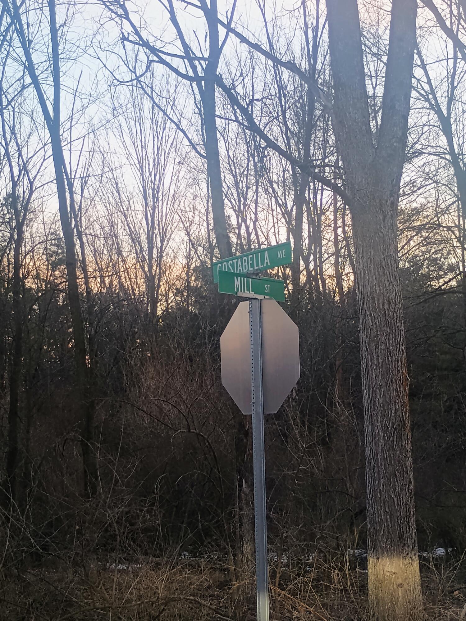 167 Mill Road