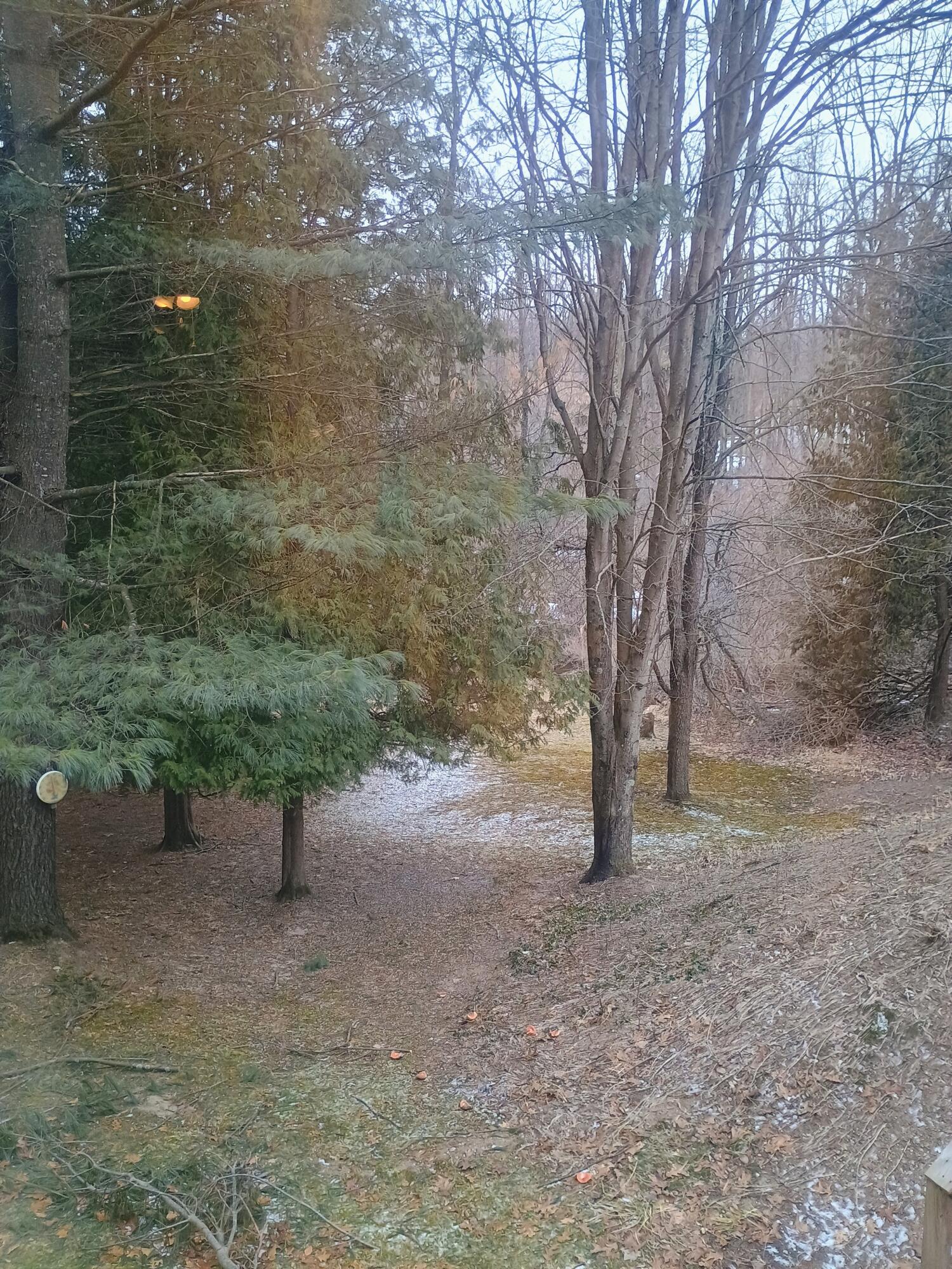 167 Mill Road