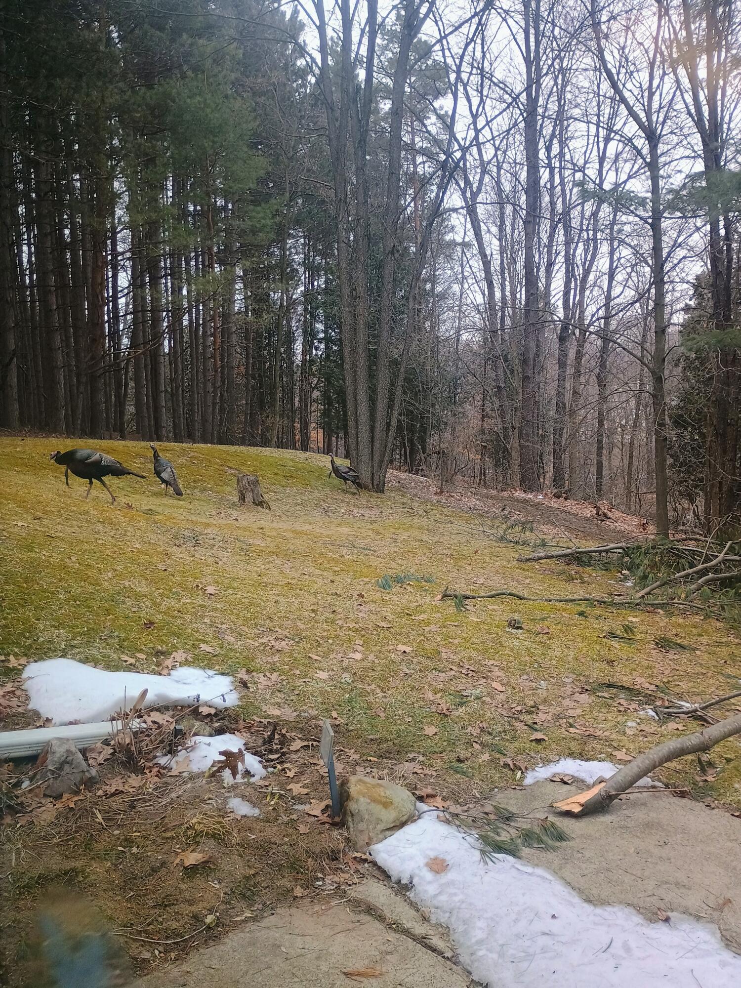 167 Mill Road