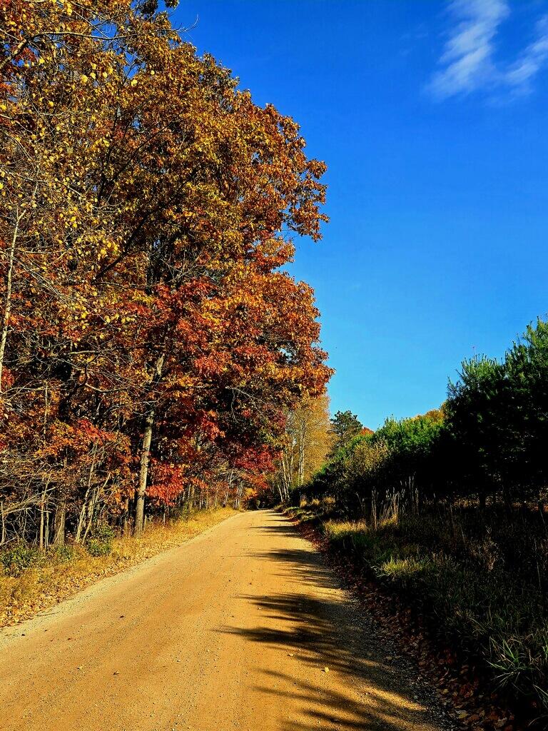 9433 8 Mile Road