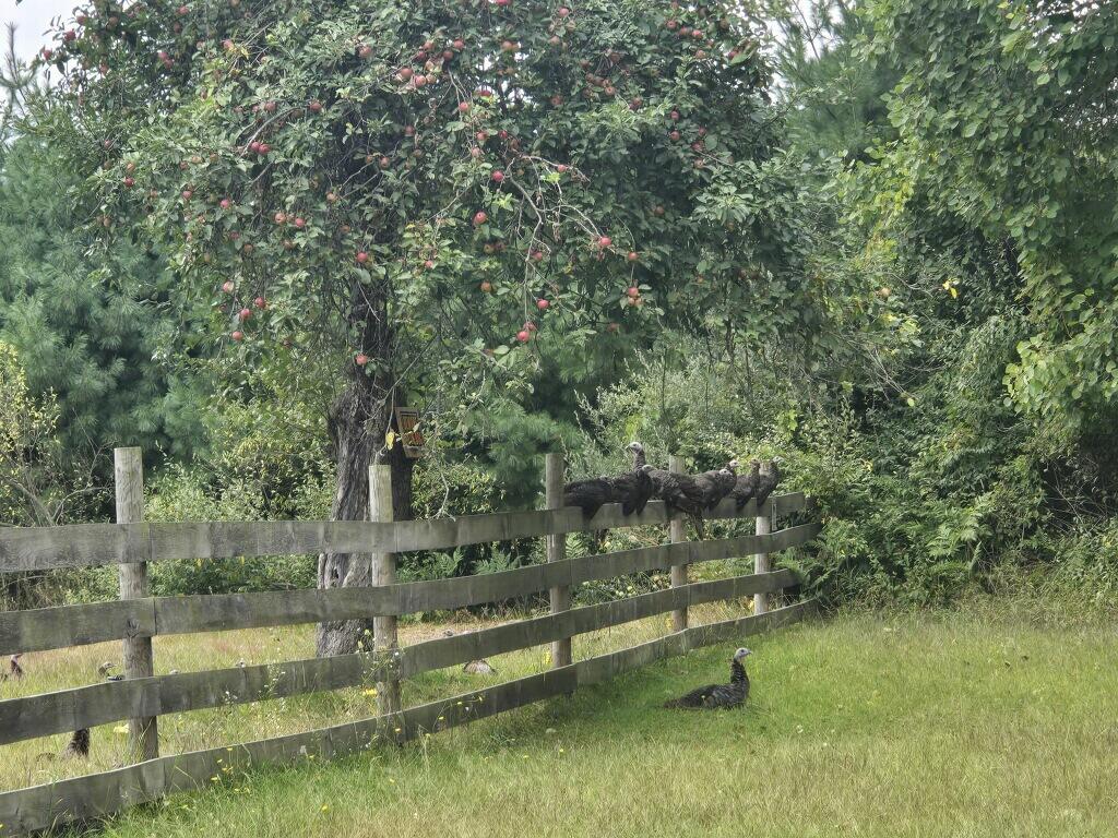 9433 8 Mile Road