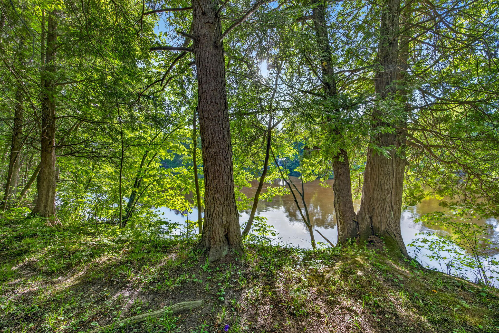 3007 Riverview Drive