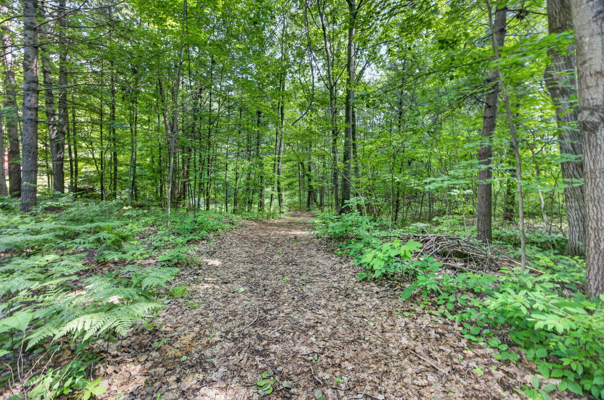 21643 11 Mile Road