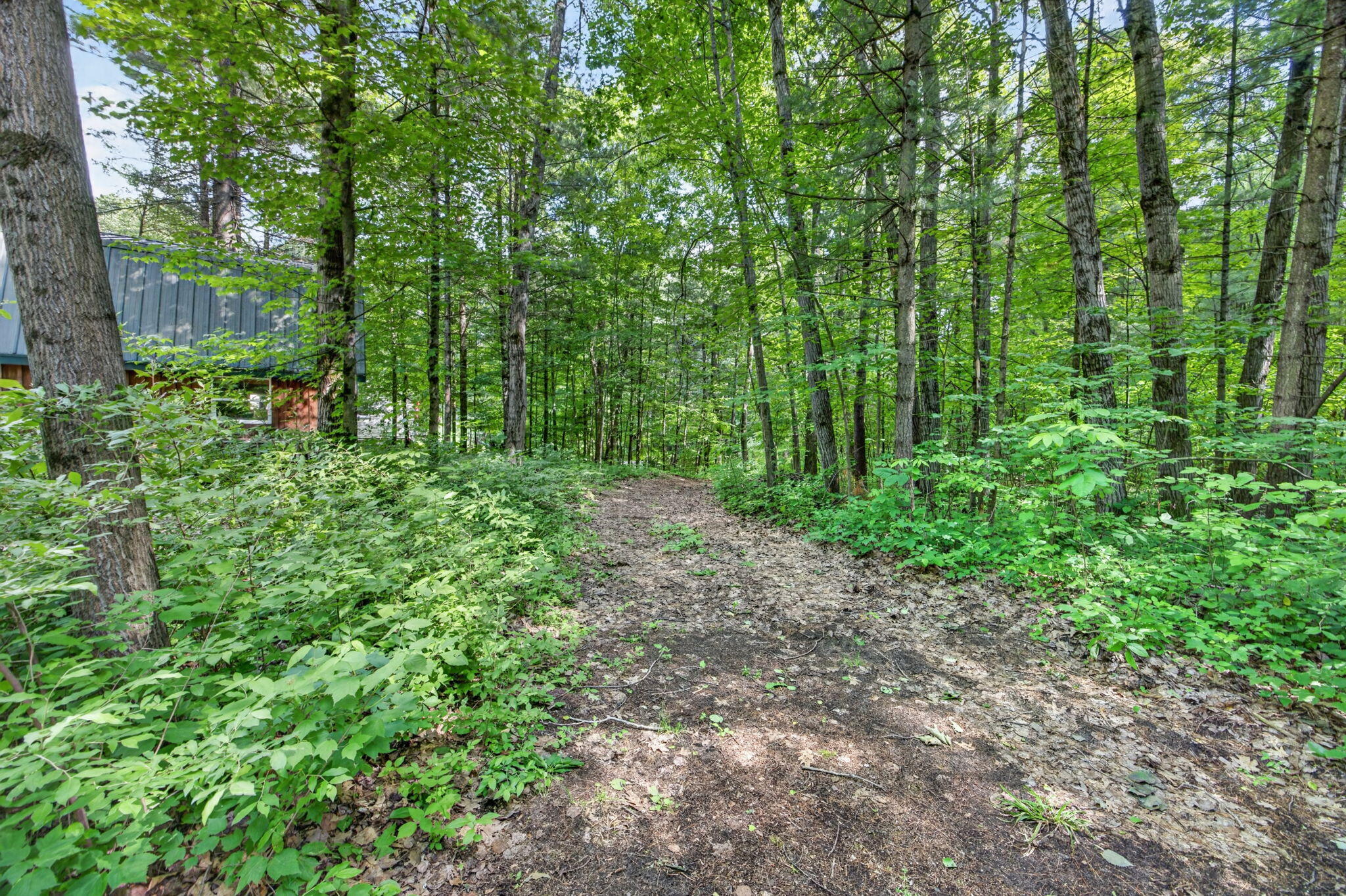 21643 11 Mile Road
