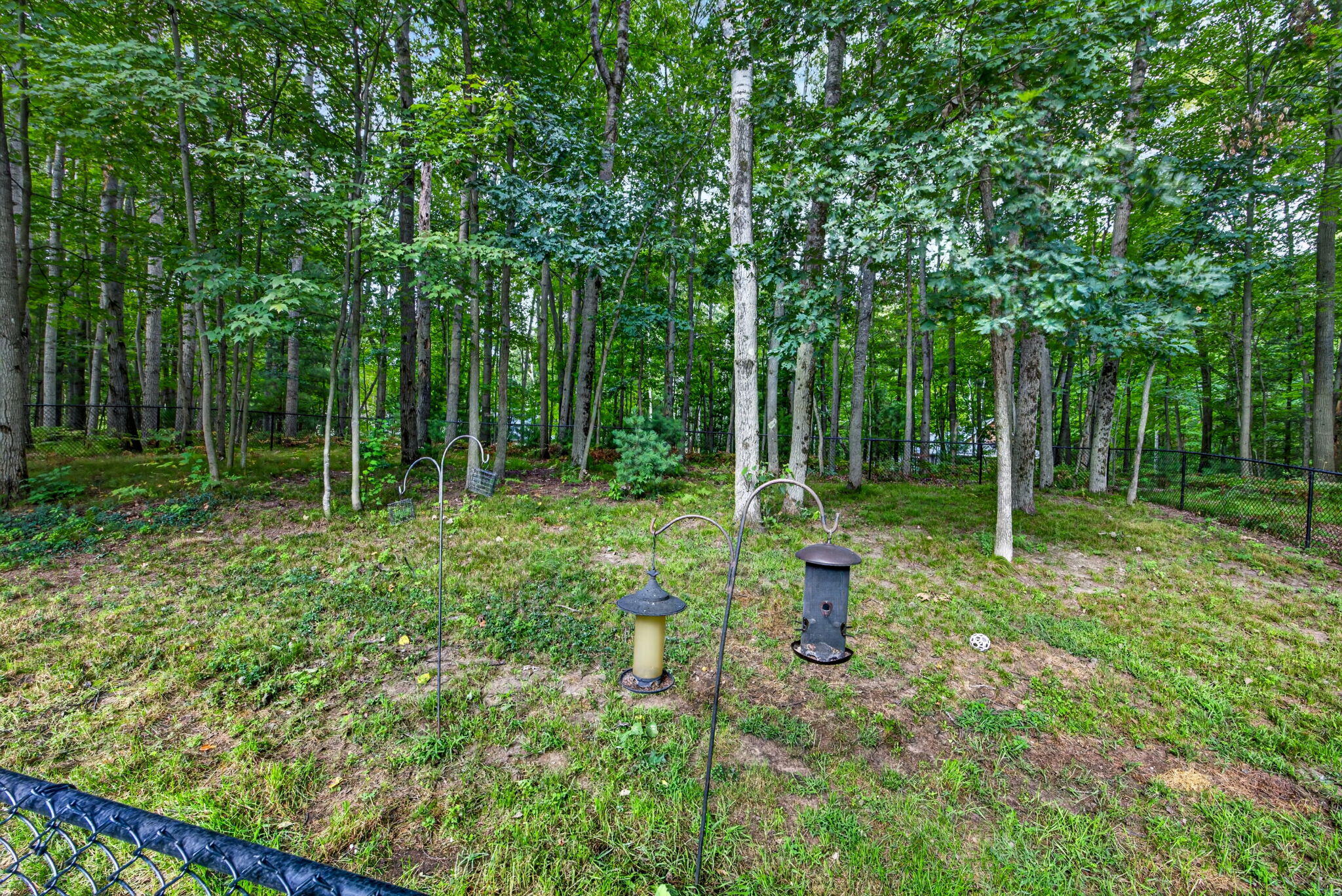 8433 Montreal Lane