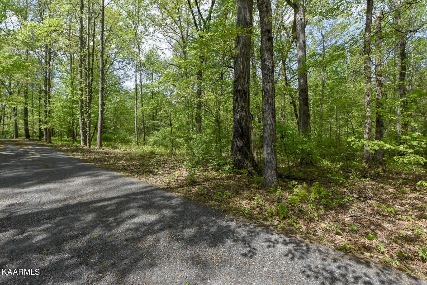 105 Greyson Woods Drive